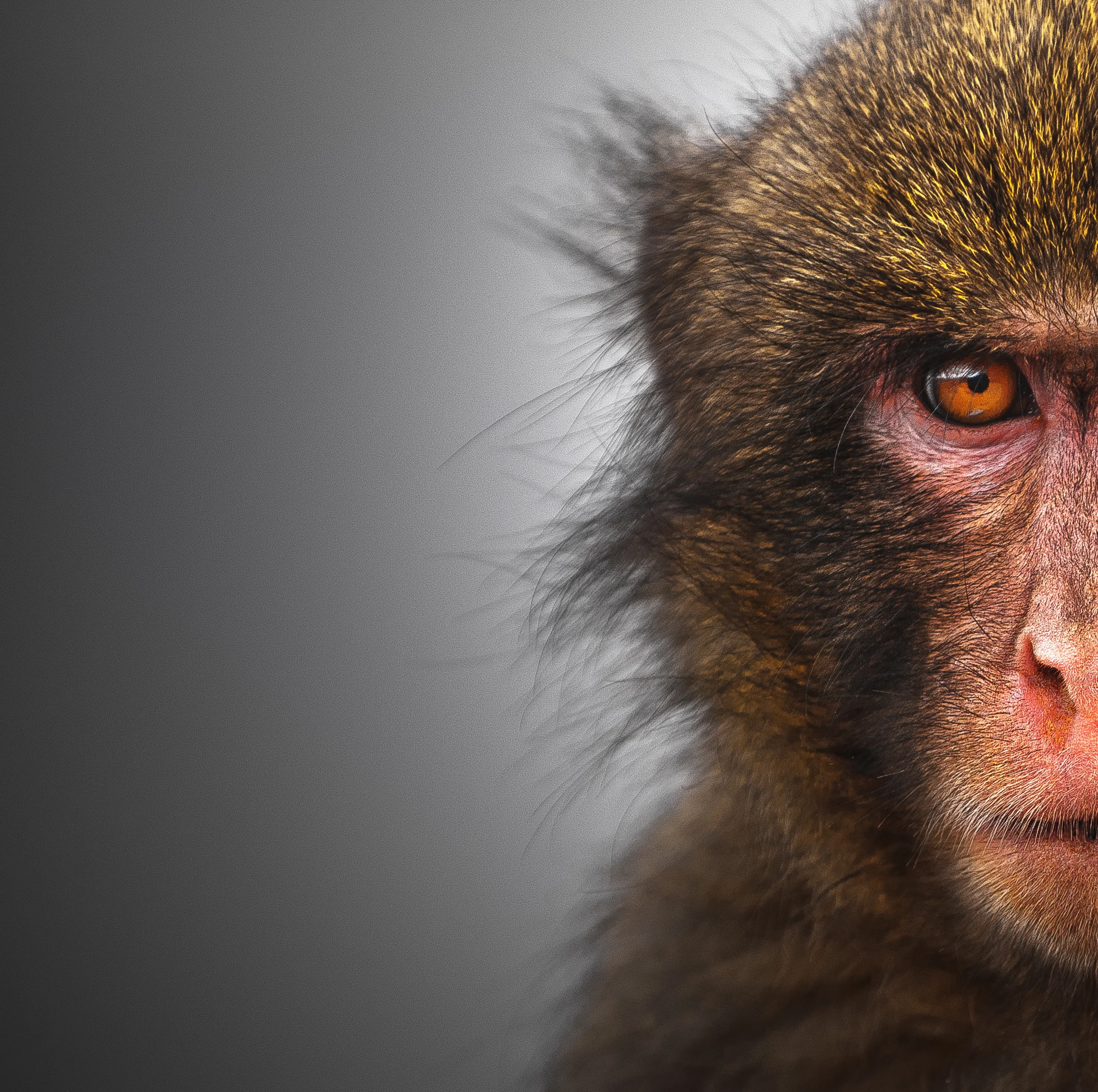 JAPAN_ROUGH (409 of 509).jpg