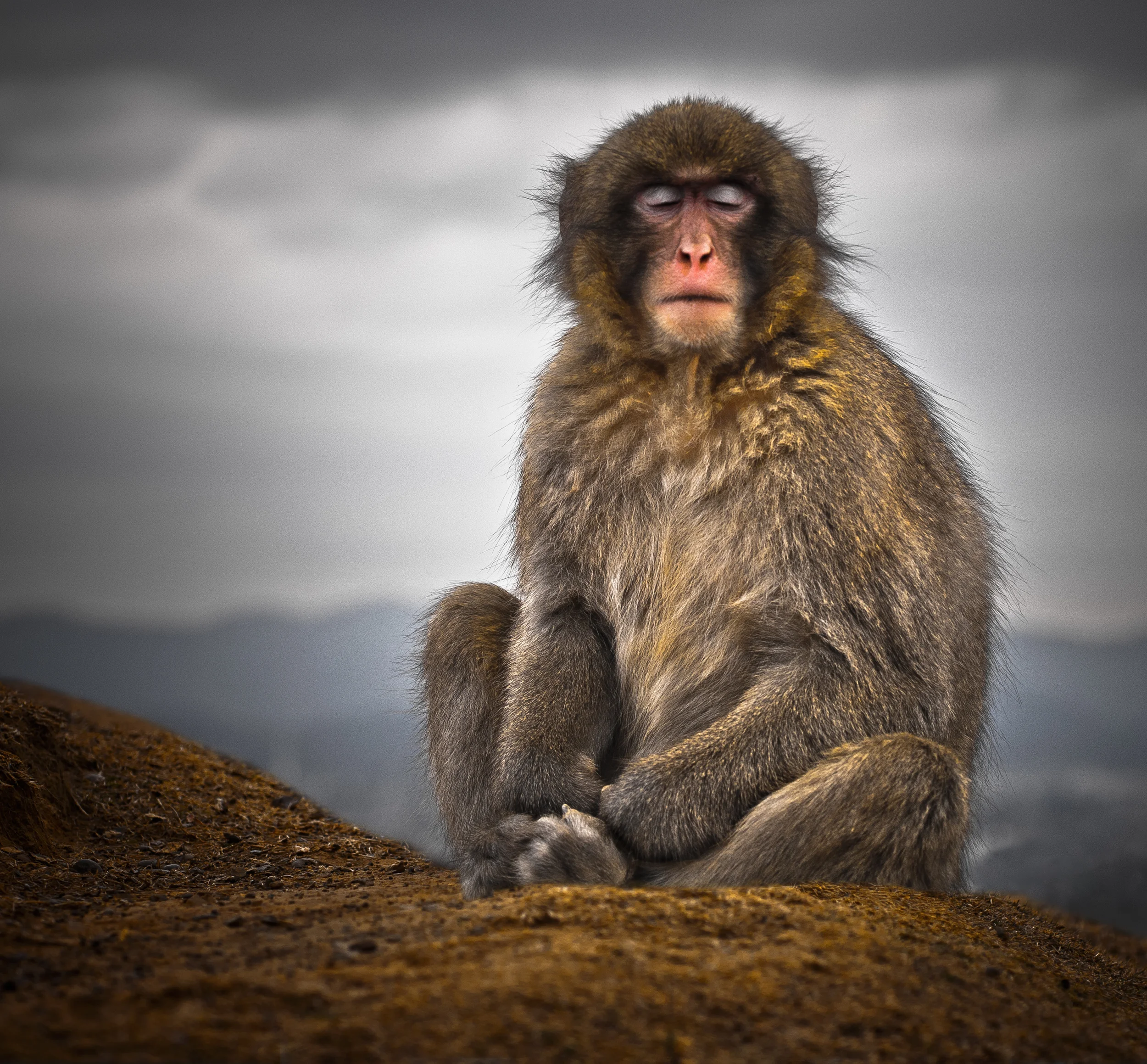 JAPAN_ROUGH (414 of 509).jpg