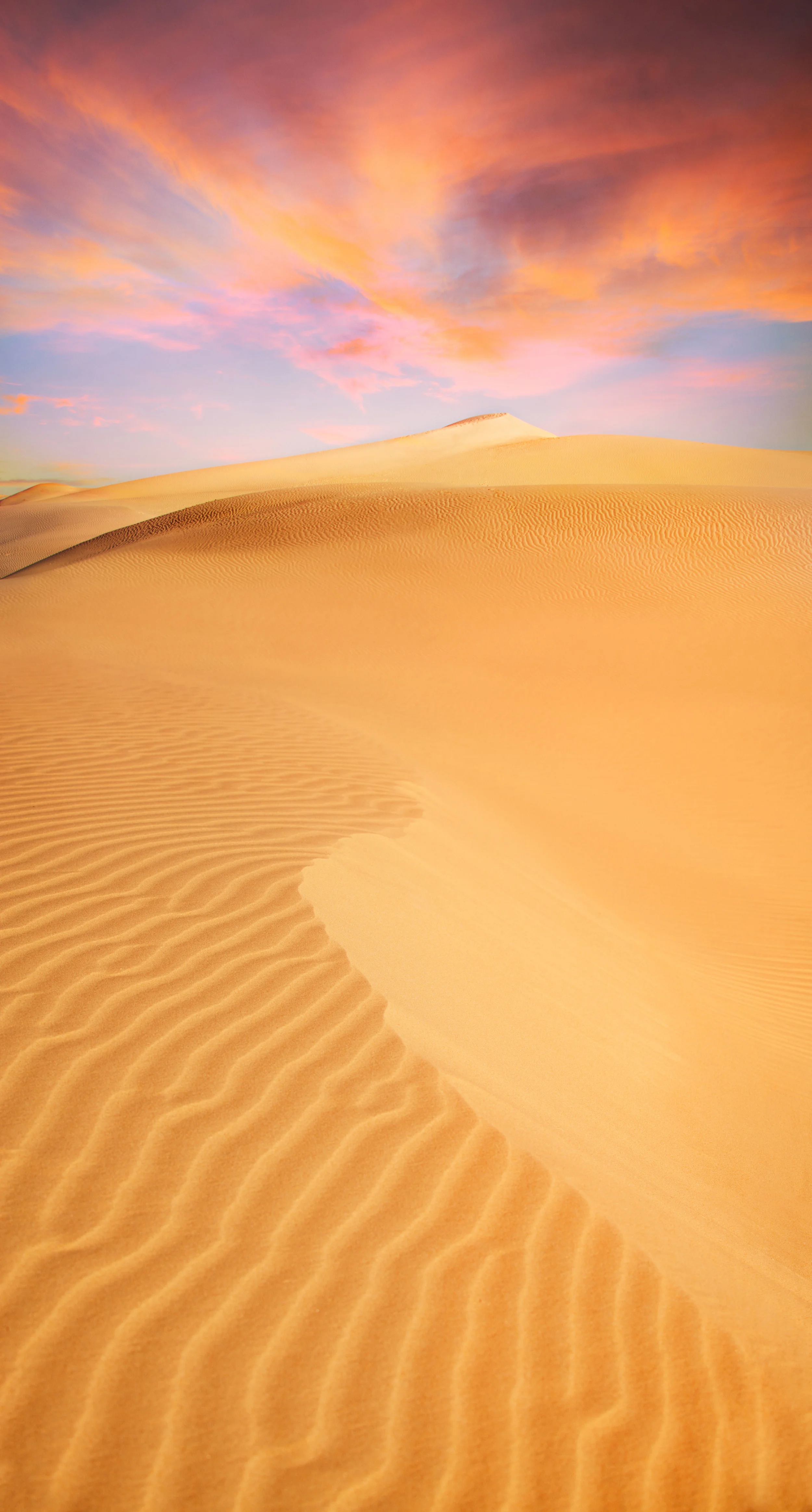 TEXAS-DUNES_LR_FINAL-1_WEB.jpg