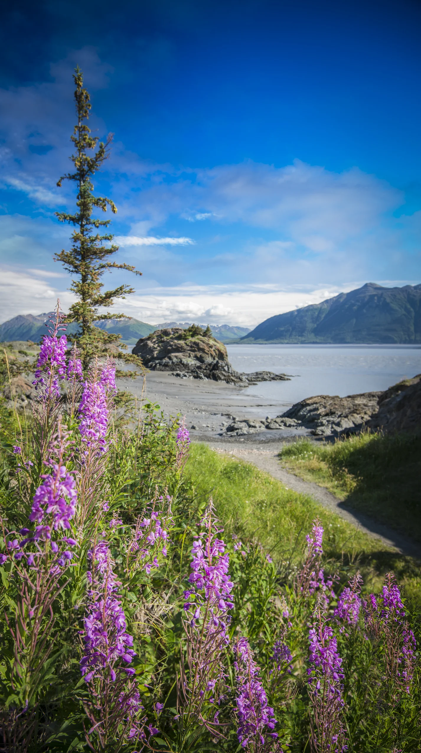 ALASKA HAWAII FINAL LR EXPORT-14.jpg