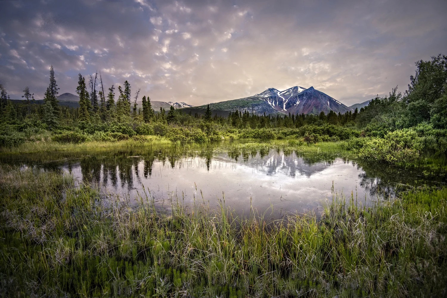 ALASKA HAWAII FINAL LR EXPORT-253.jpg