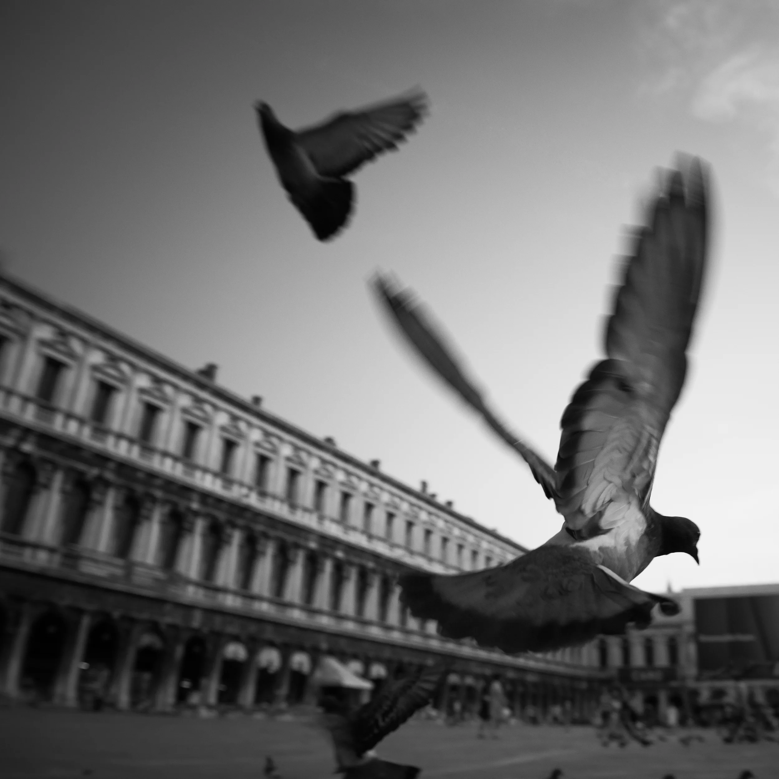 CITY'S AROUND THE WORLD-9-3_REDUX.jpg