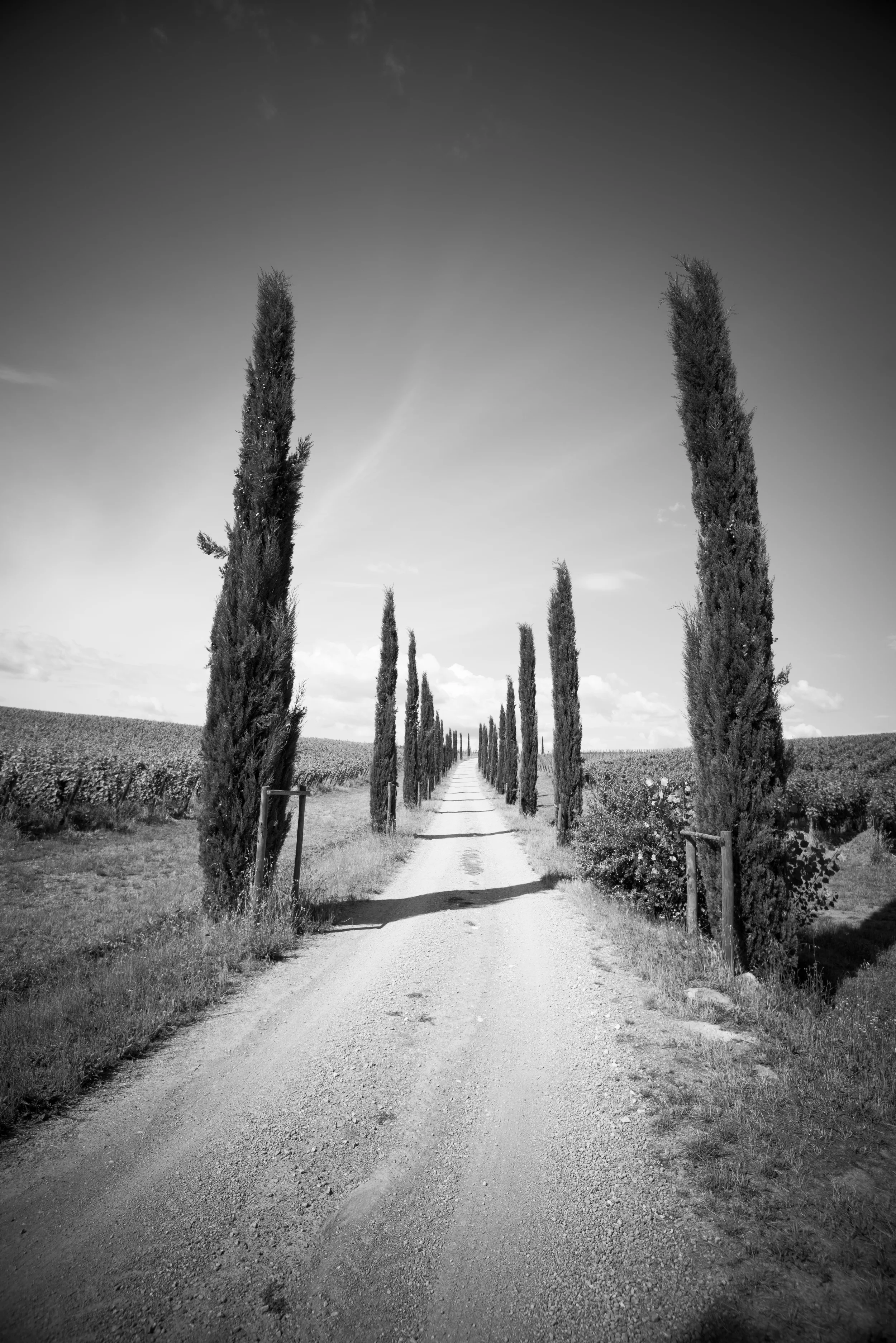 CITY'S AROUND THE WORLD-1 copy.jpg