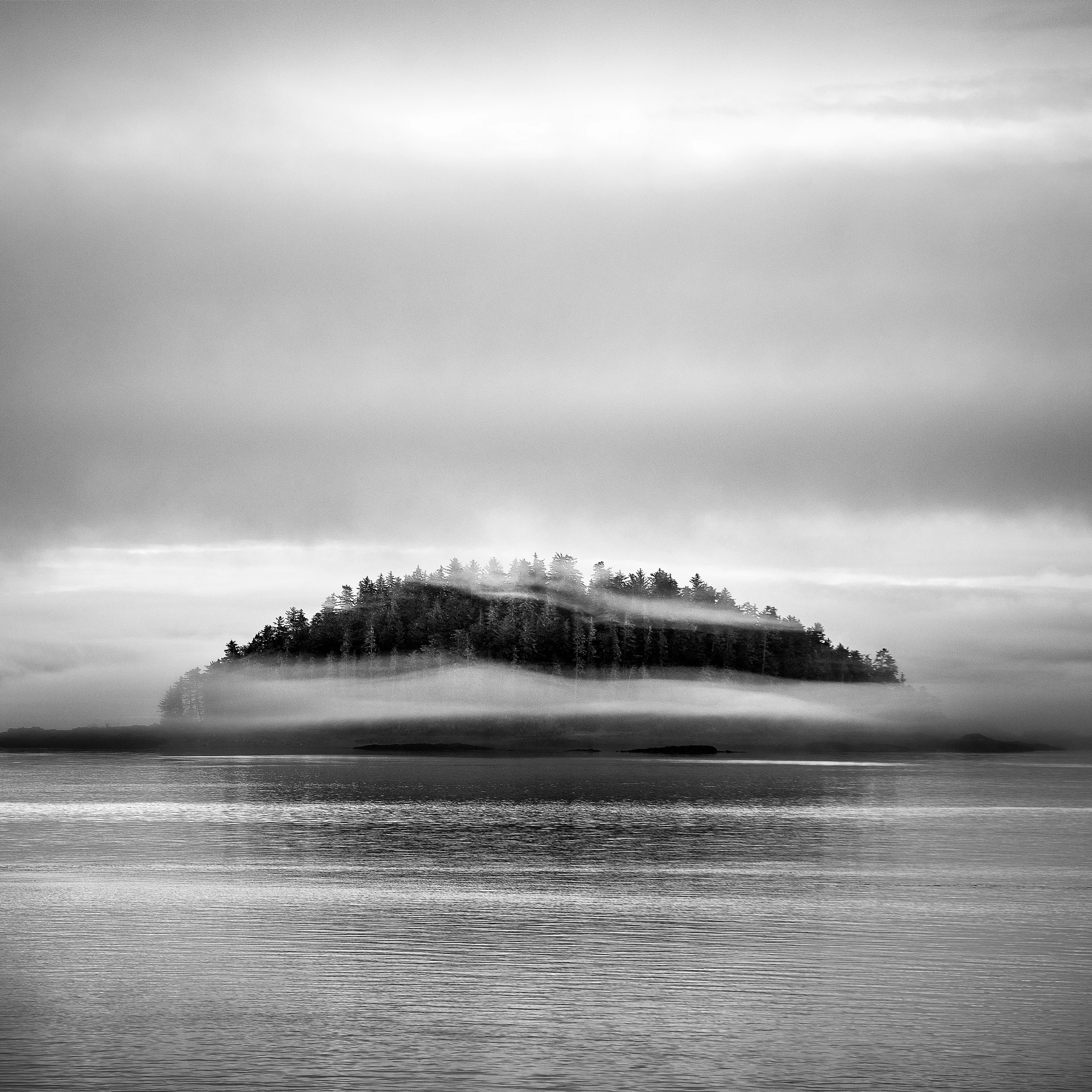 ELEMENTS-1-7.jpg