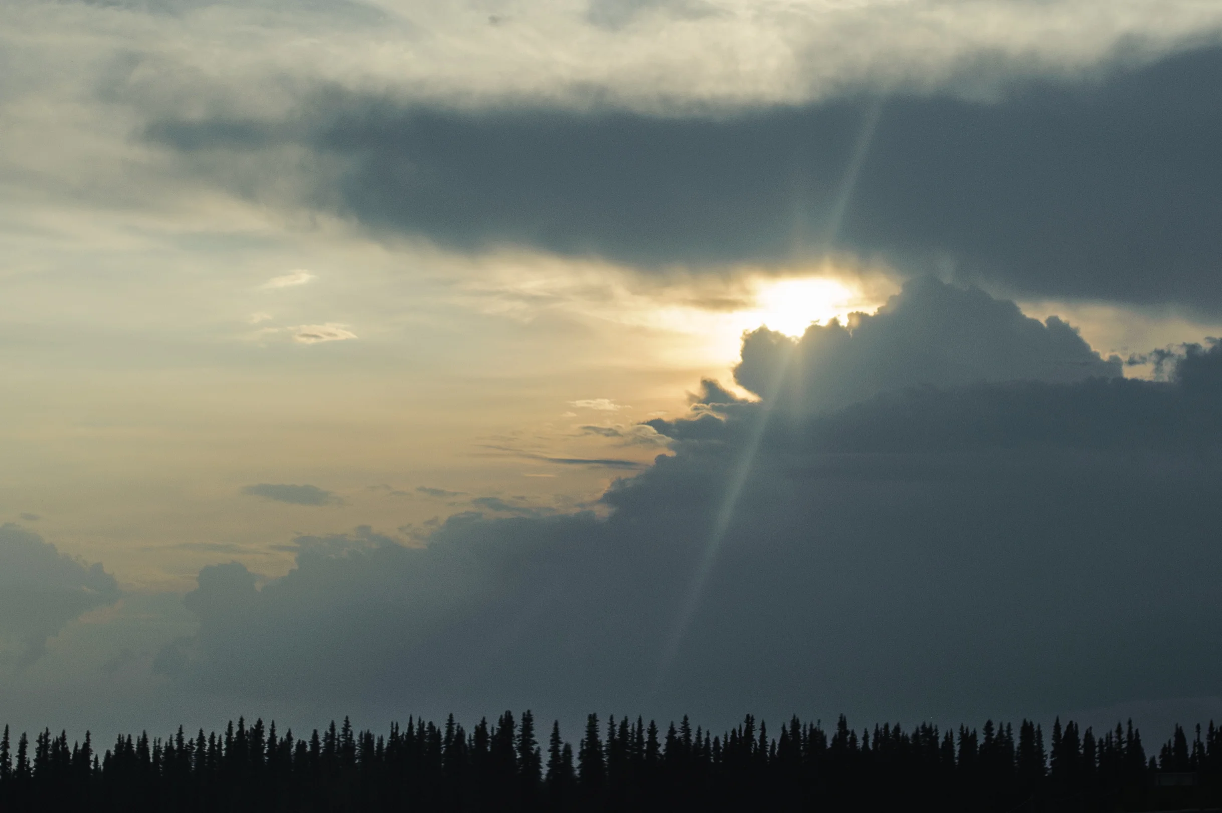 20150724-NPM_6814.jpg