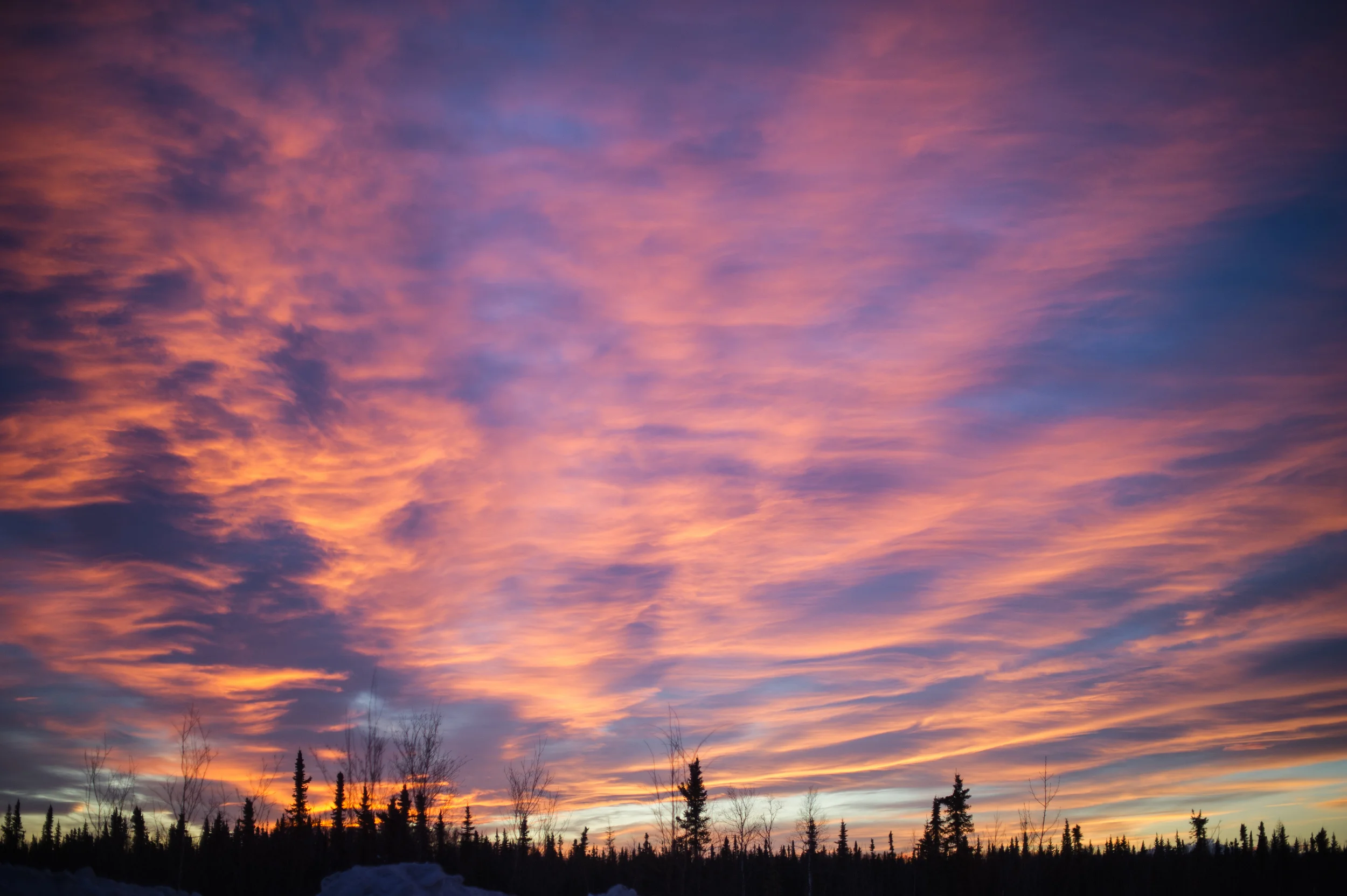 20160105-_DSC8396.jpg