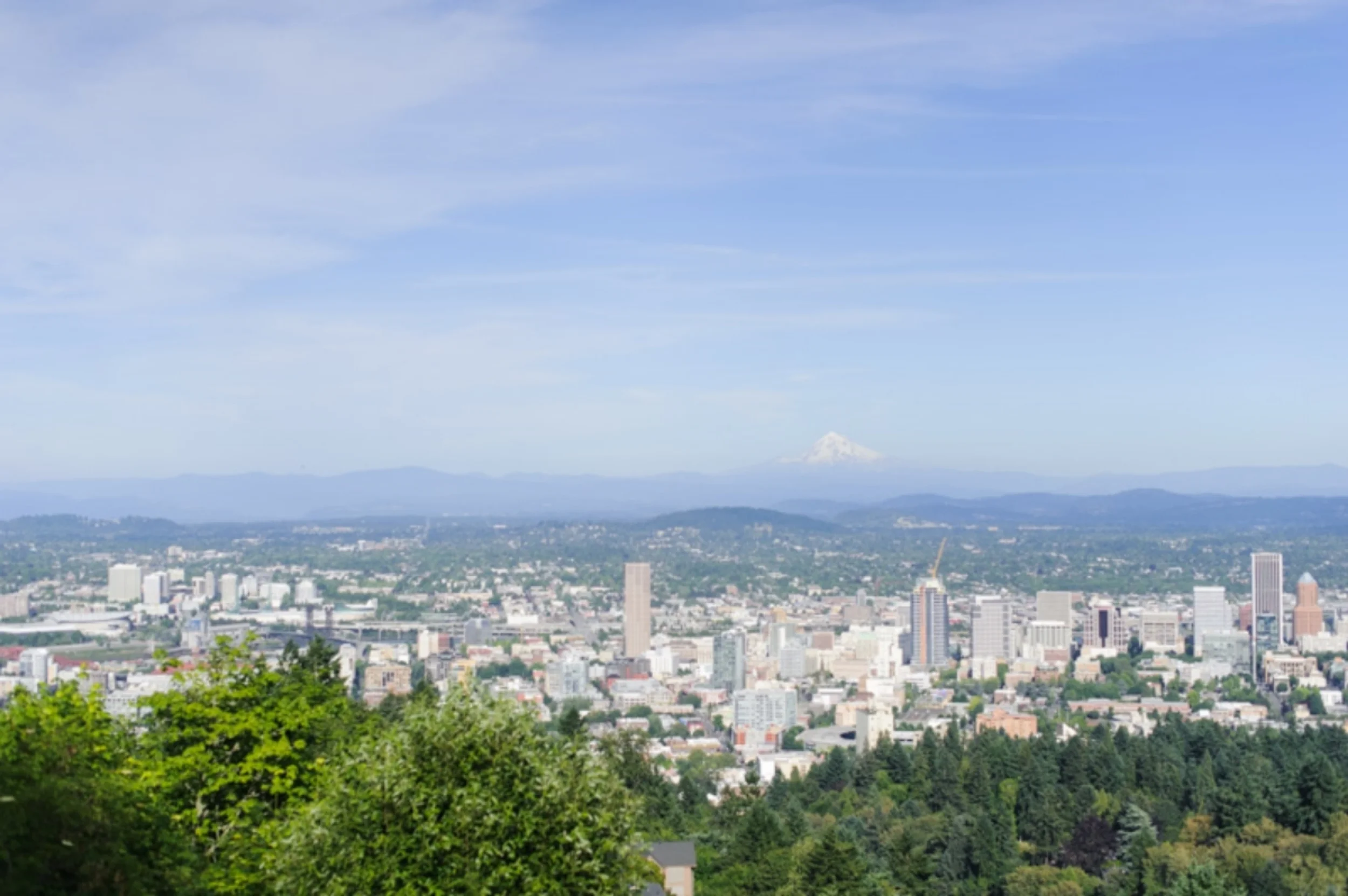20150611-NPM_4779.jpg