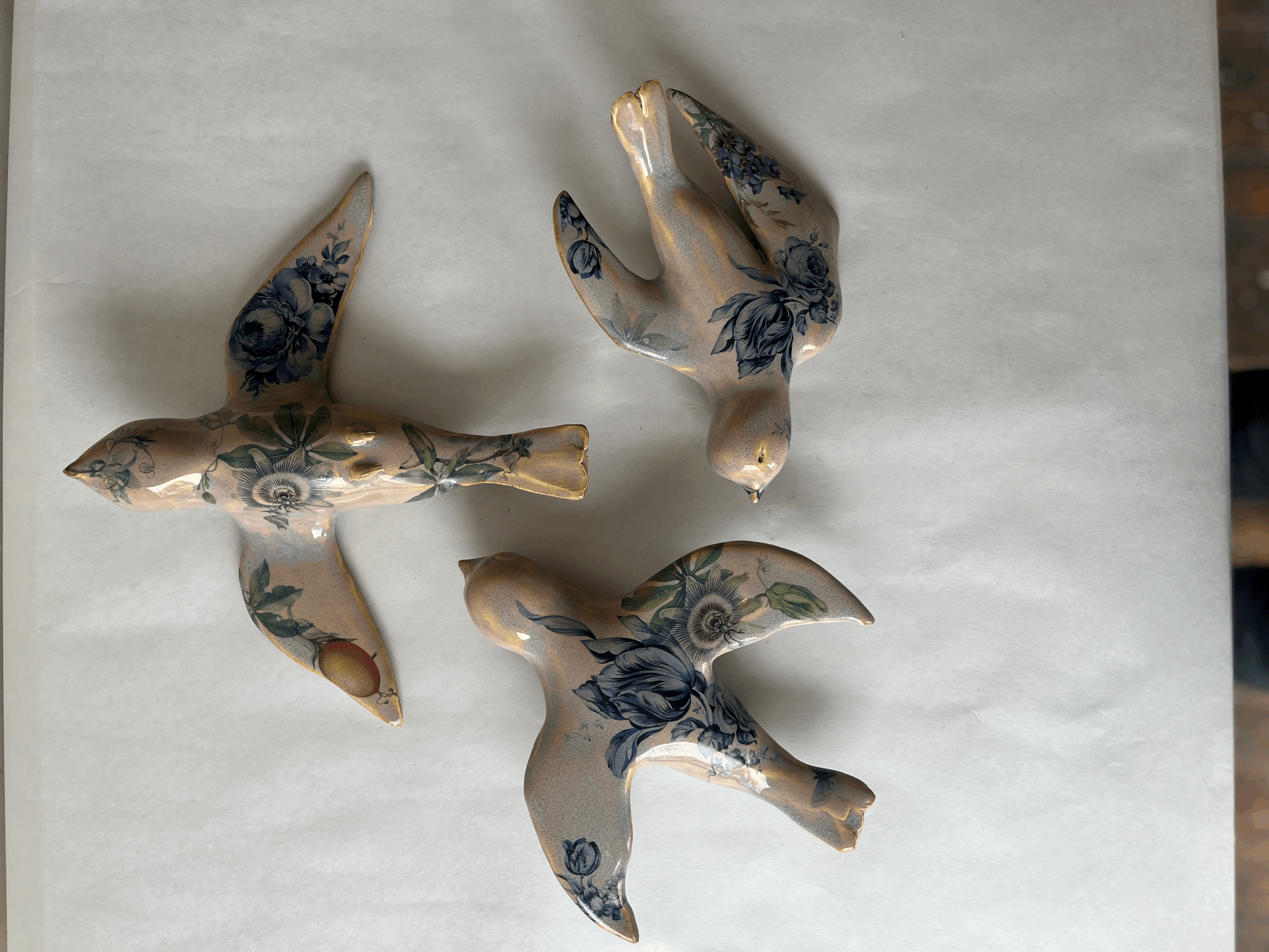 Swallows