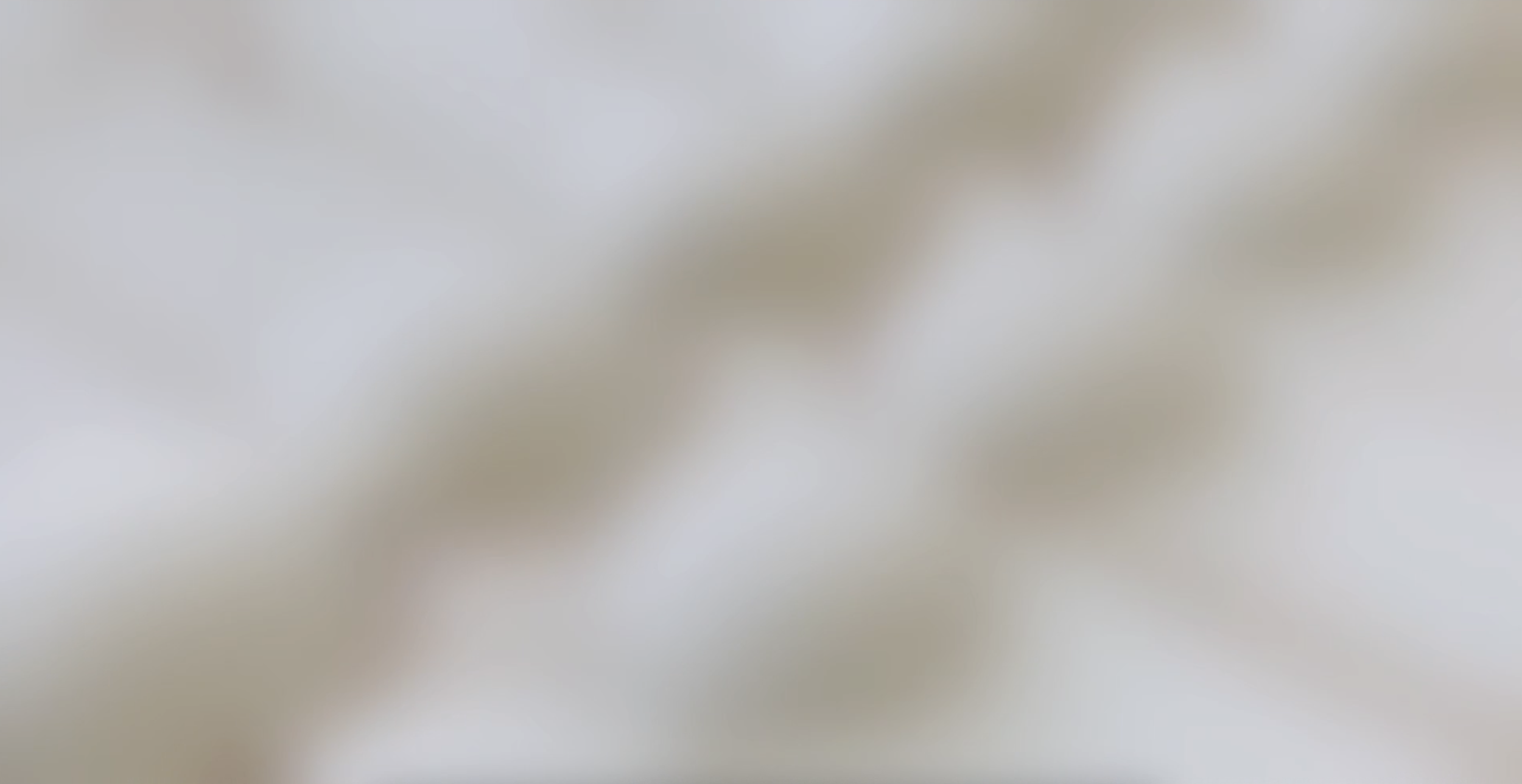 Screenshot 2026-03-20 at 3.04.02 PM.png