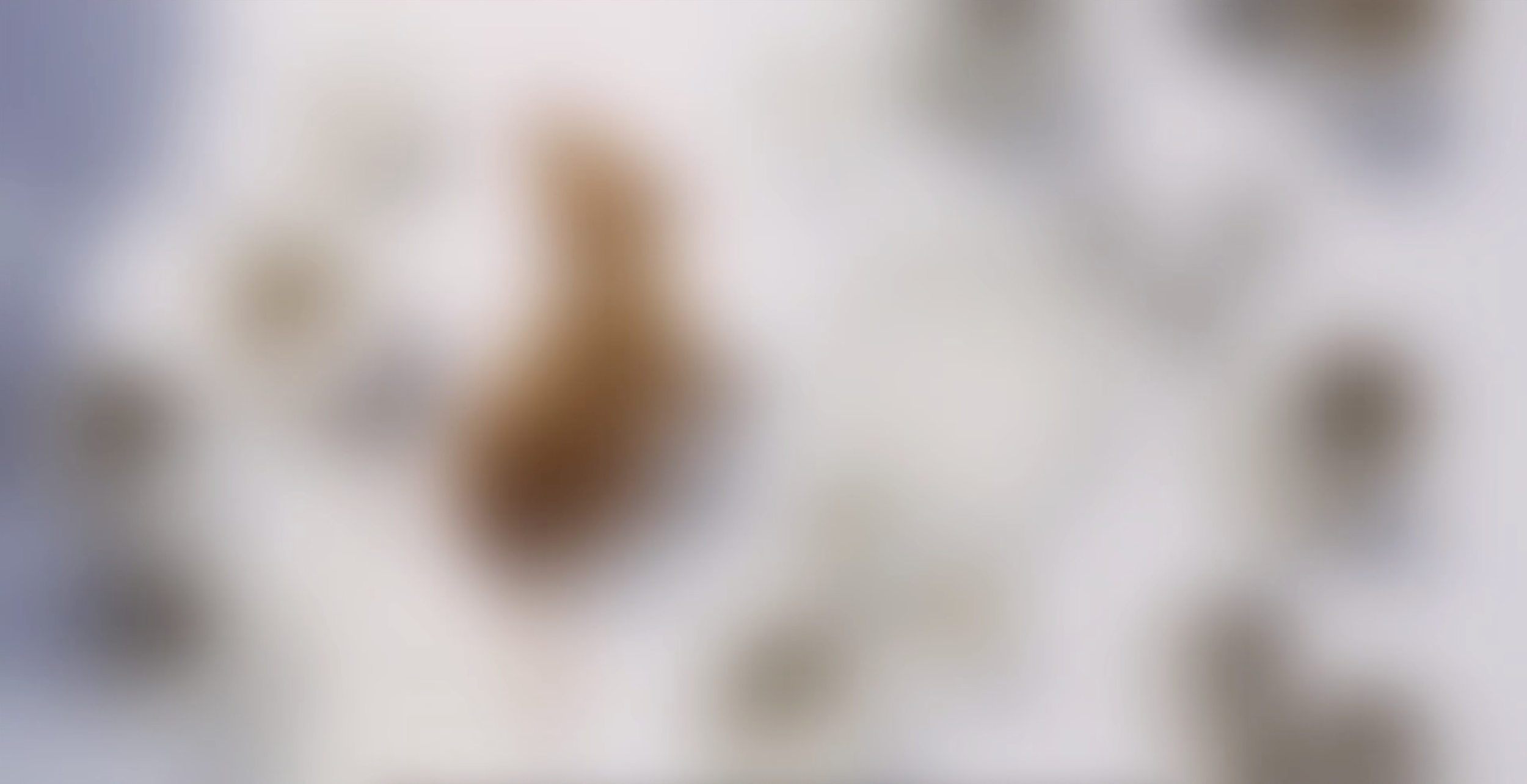 Screenshot 2026-03-20 at 3.04.08 PM.png