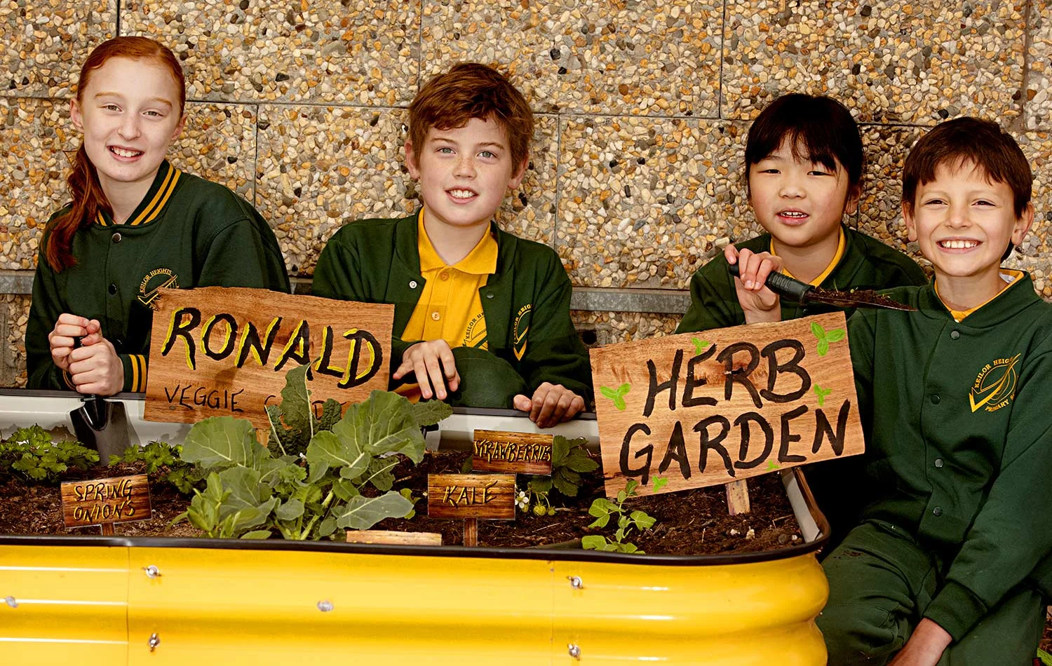 Students at Keilor Heights Primary School have a series of colourful veggie and herb patches which they have created and regularly maintain.