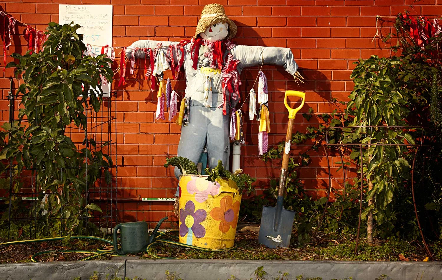 One of the best scarecrows around, at Moonee Ponds West Primary School.