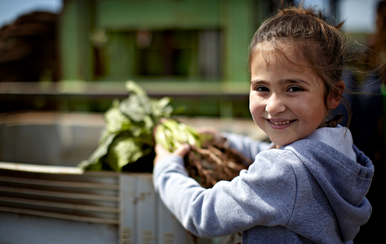 The next generation, Market Gardener in training. One of the young Battaglia family members helping out on the farm.