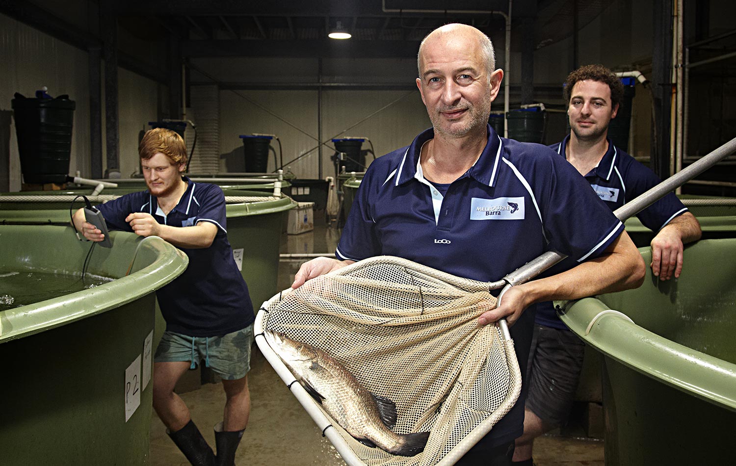 Local Barrumundi farm owner and his keen scientific crew