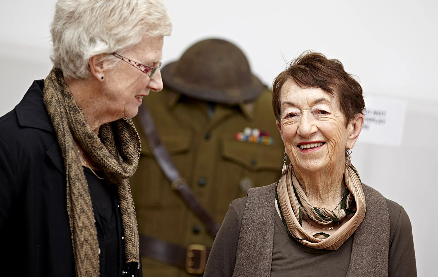 Elderley Dignity Project - Banyule Council