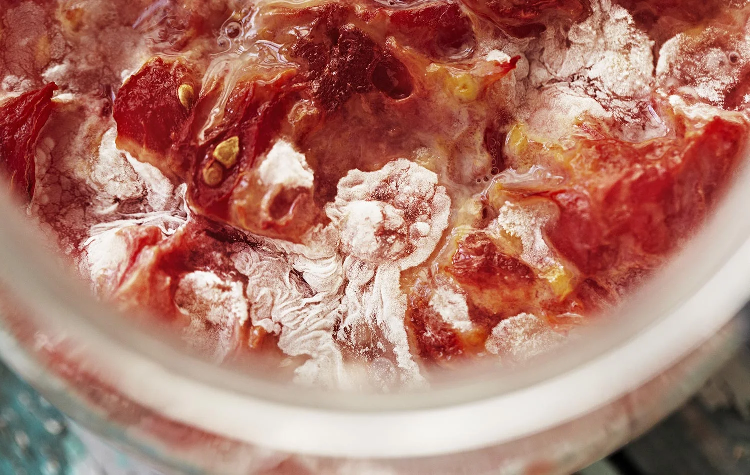 Here it is fermenting away. It looks so gorgeous at this point and almost like tomatoe and cheese topping on pizza.