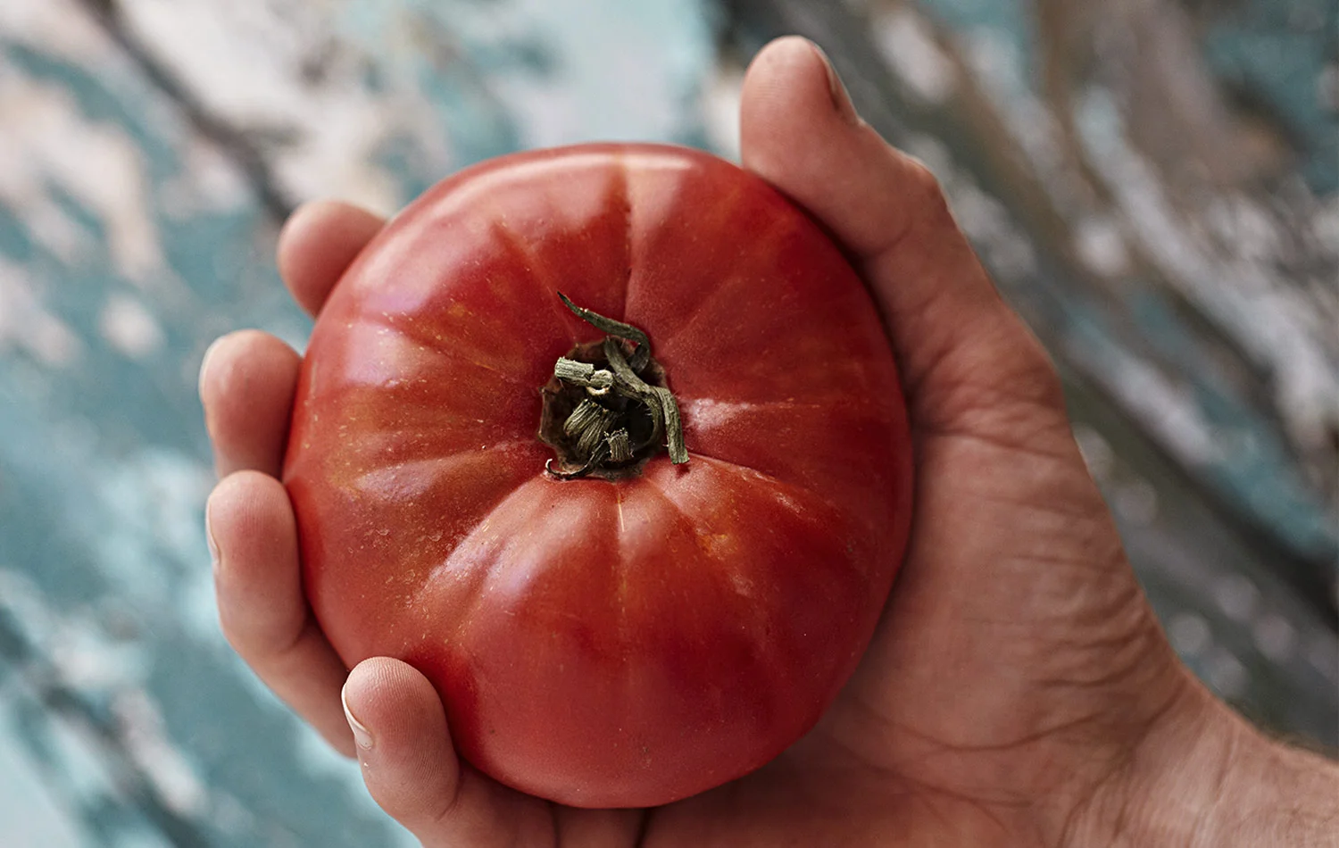 Select your favourite tomatoe variety