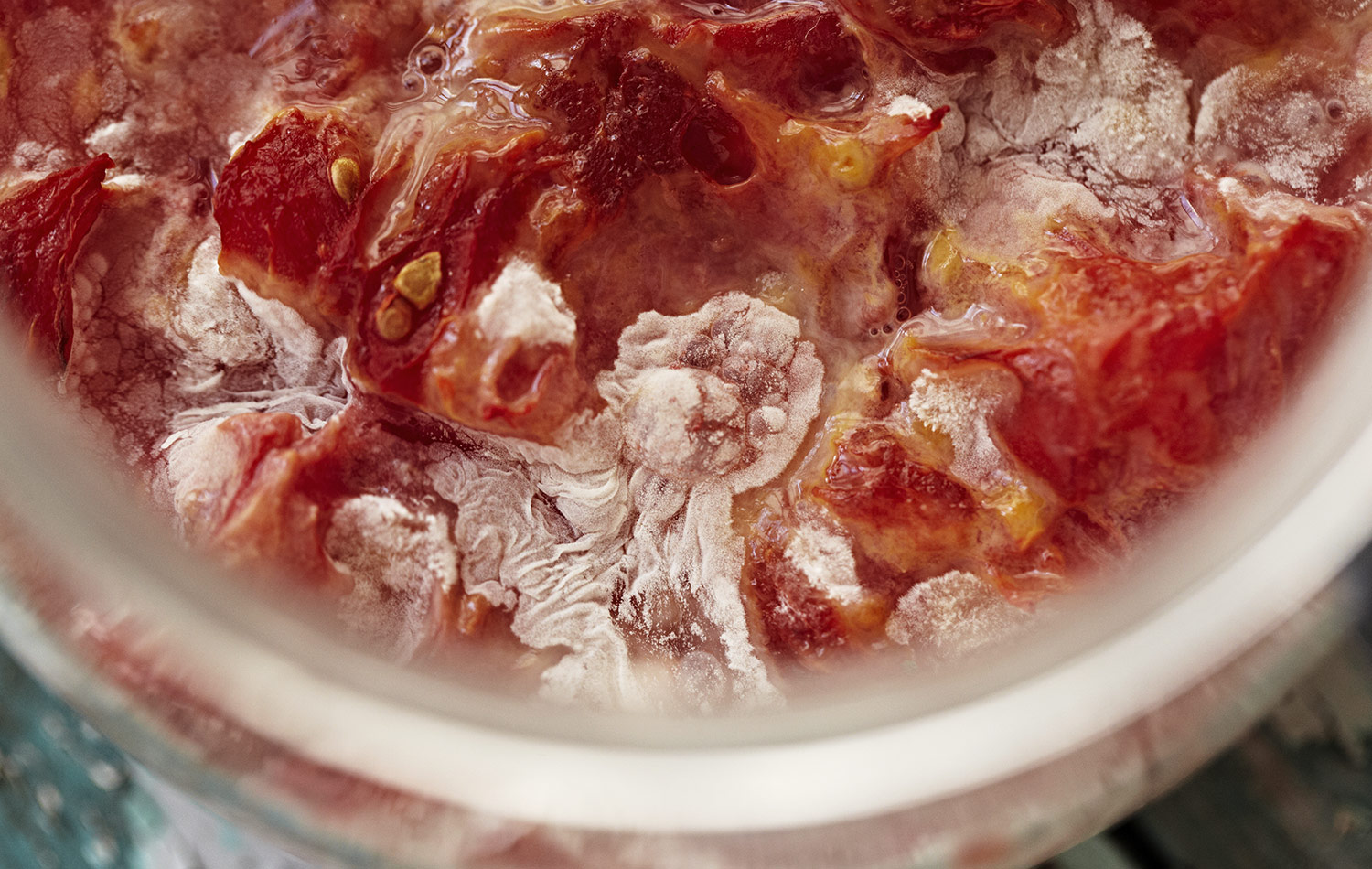 Here it is fermenting away. It looks so gorgeous at this point and almost like tomatoe and cheese topping on pizza. I love this process.