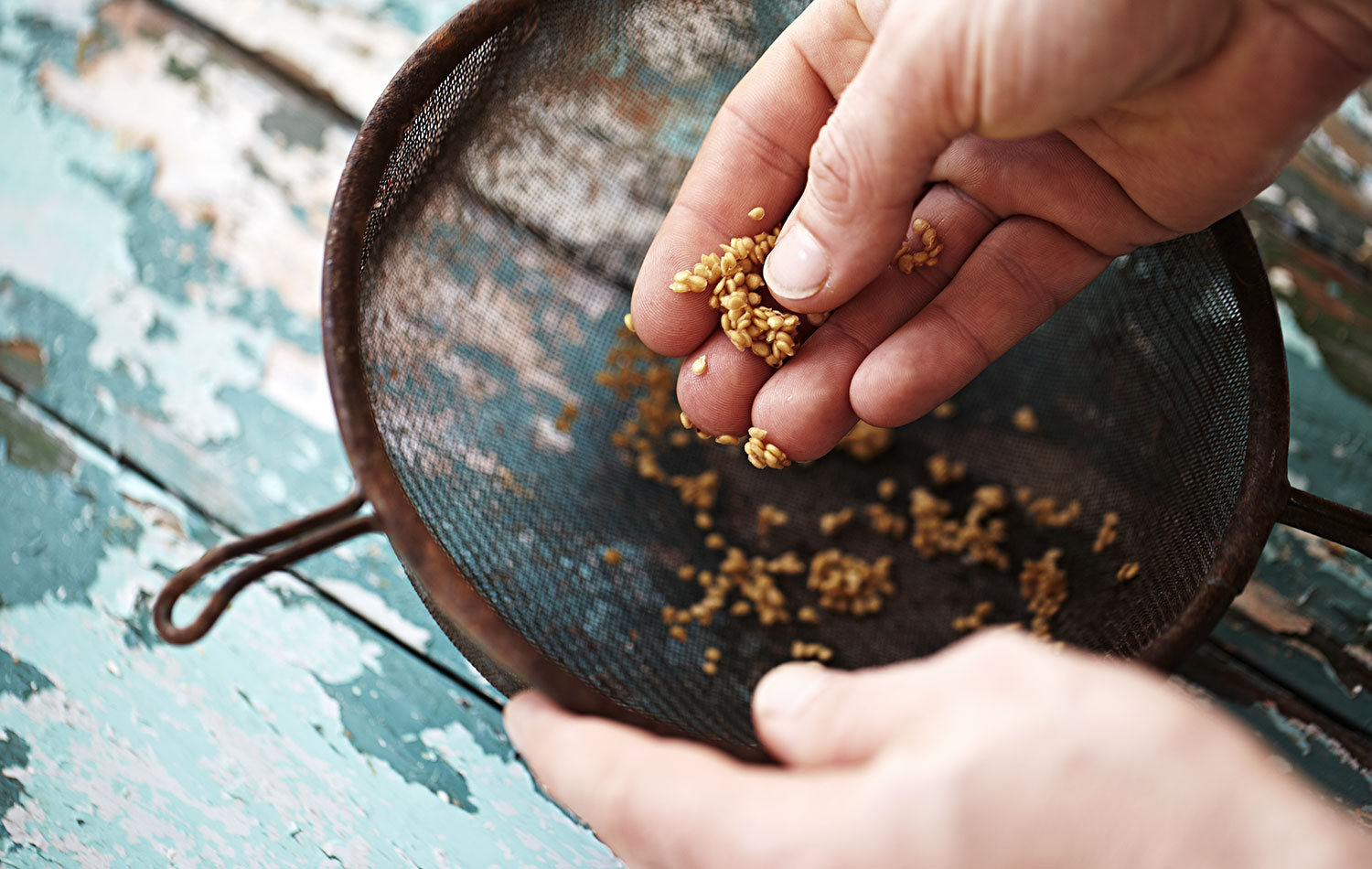 Strain the seed.
