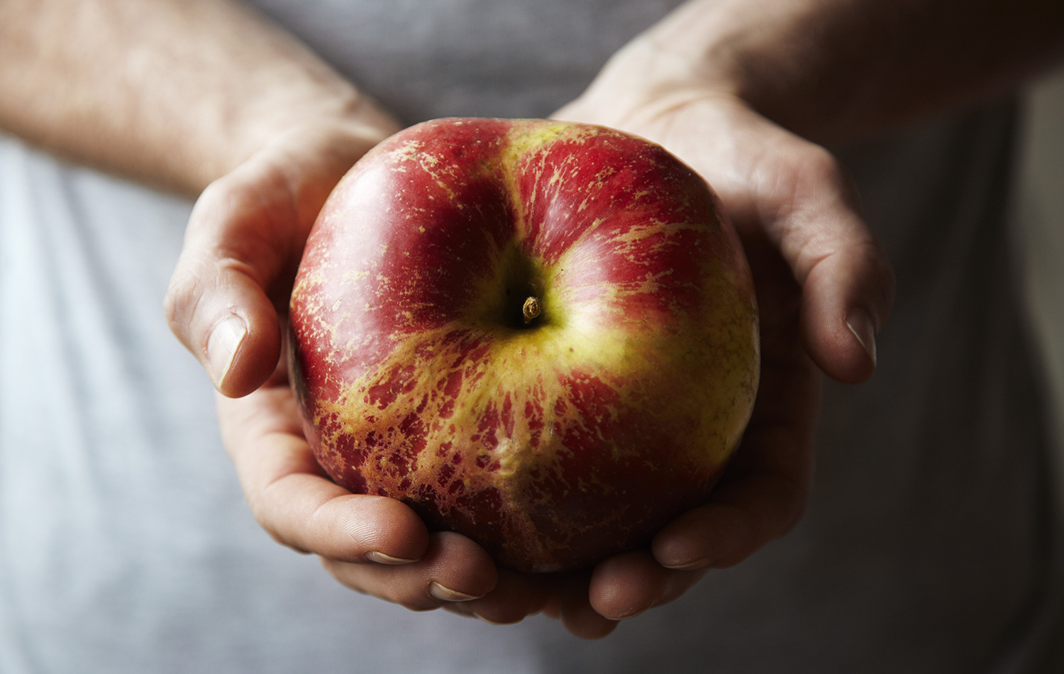 How big is this apple ? So big, too big, not too big..How big can an apple get.
