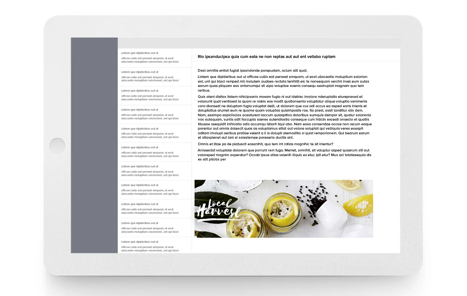 Local-Harvest-Lemon-Email-footer-Kylie-Grinham-Fenchurch-Studios-Melbourne-Photographer.jpg