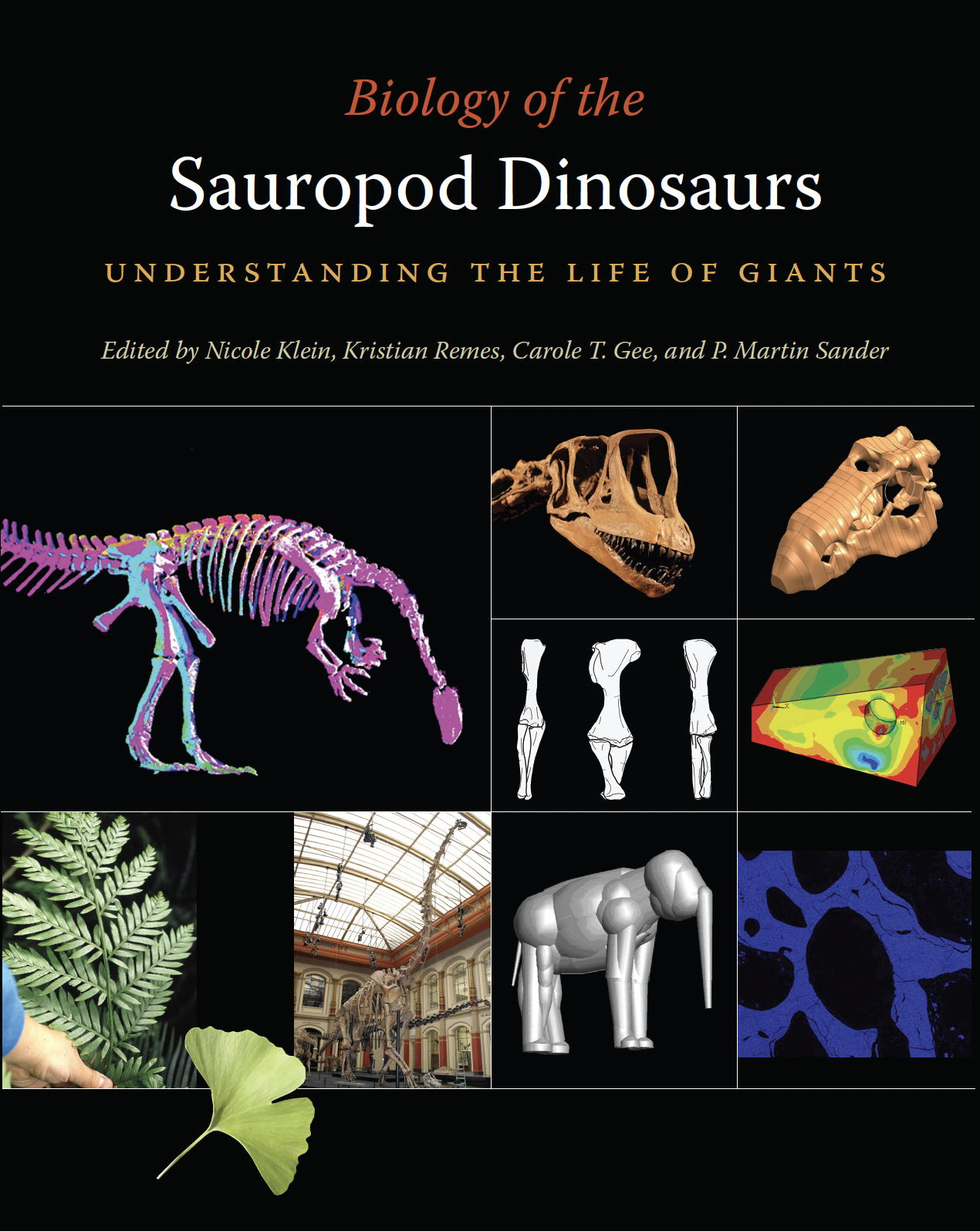 Screenshot 2024-05-23 at 8.23.27 AM.png