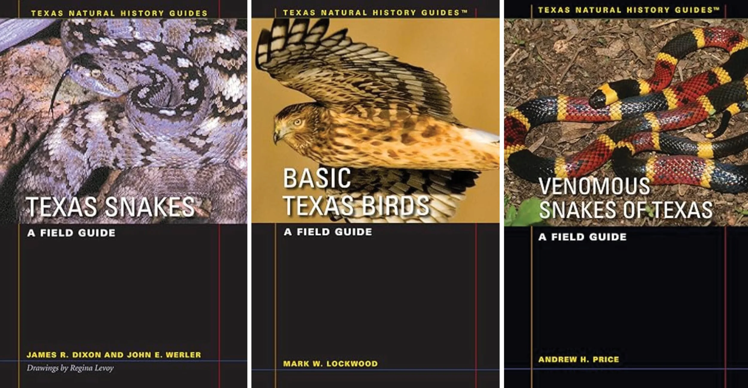 Field Guides.jpg