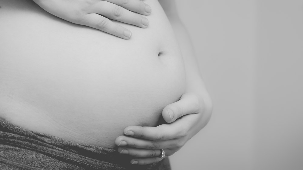 First Trimester Report