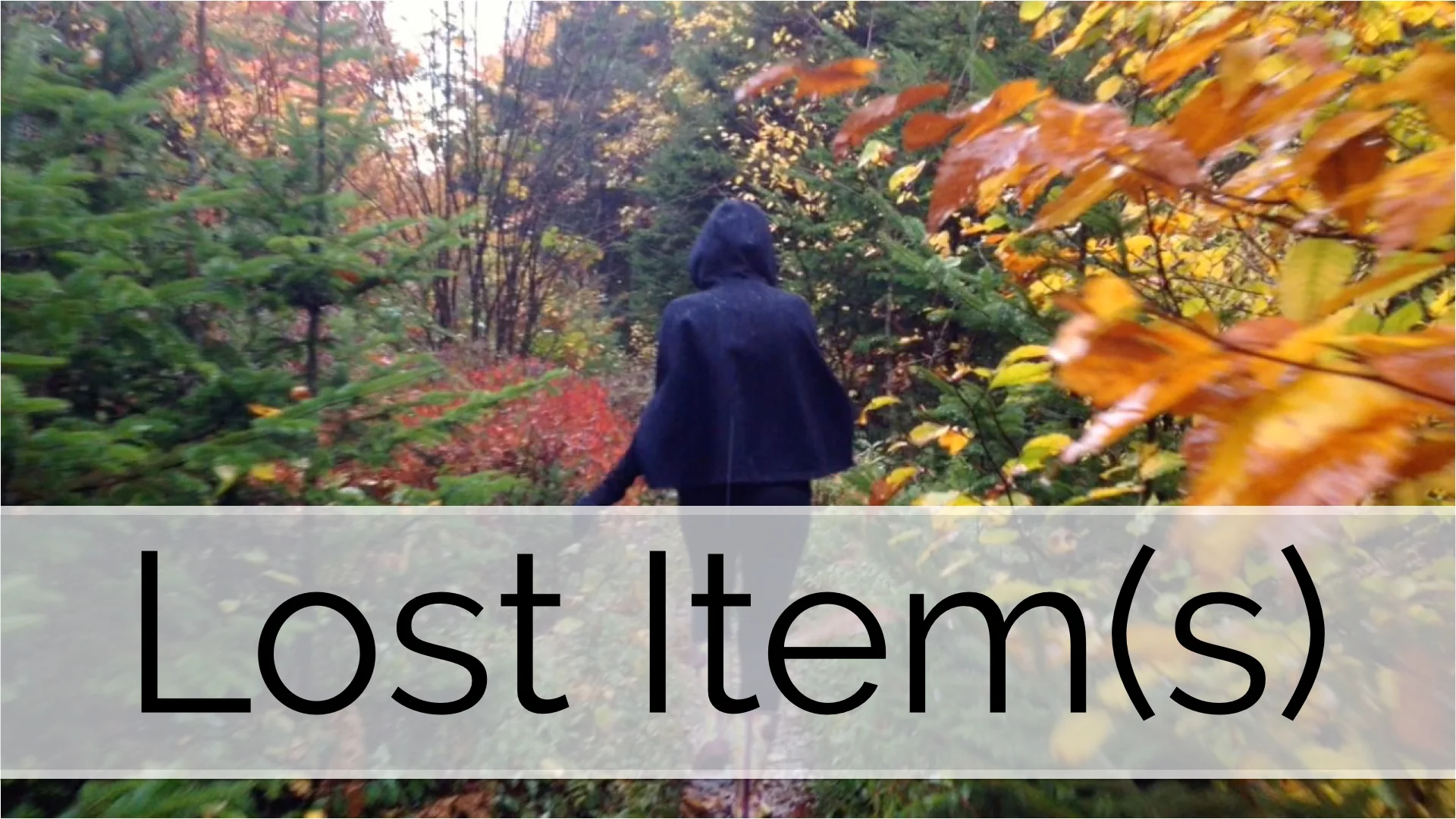 Lost Items