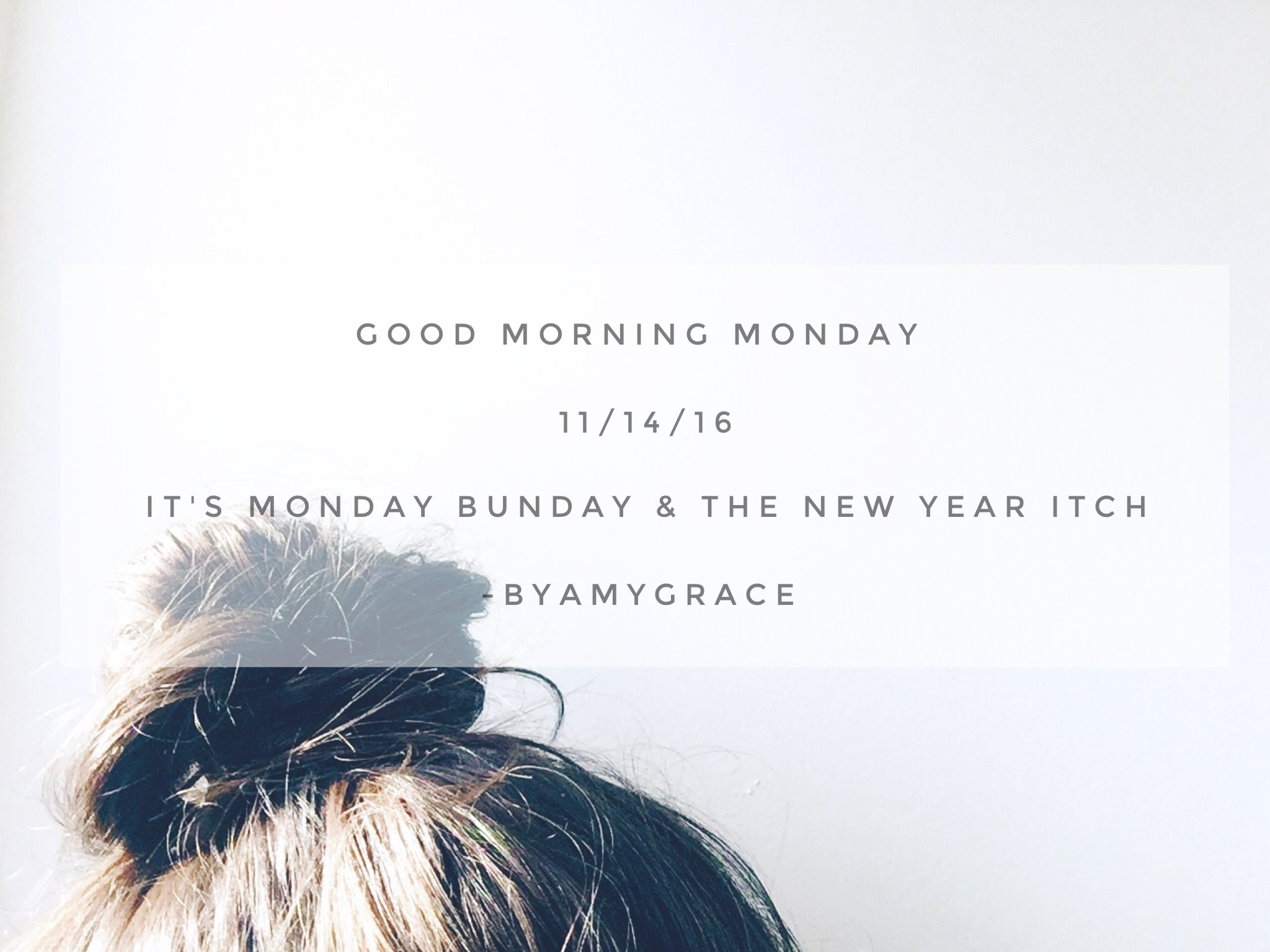 Good Morning Monday | 11/14/16