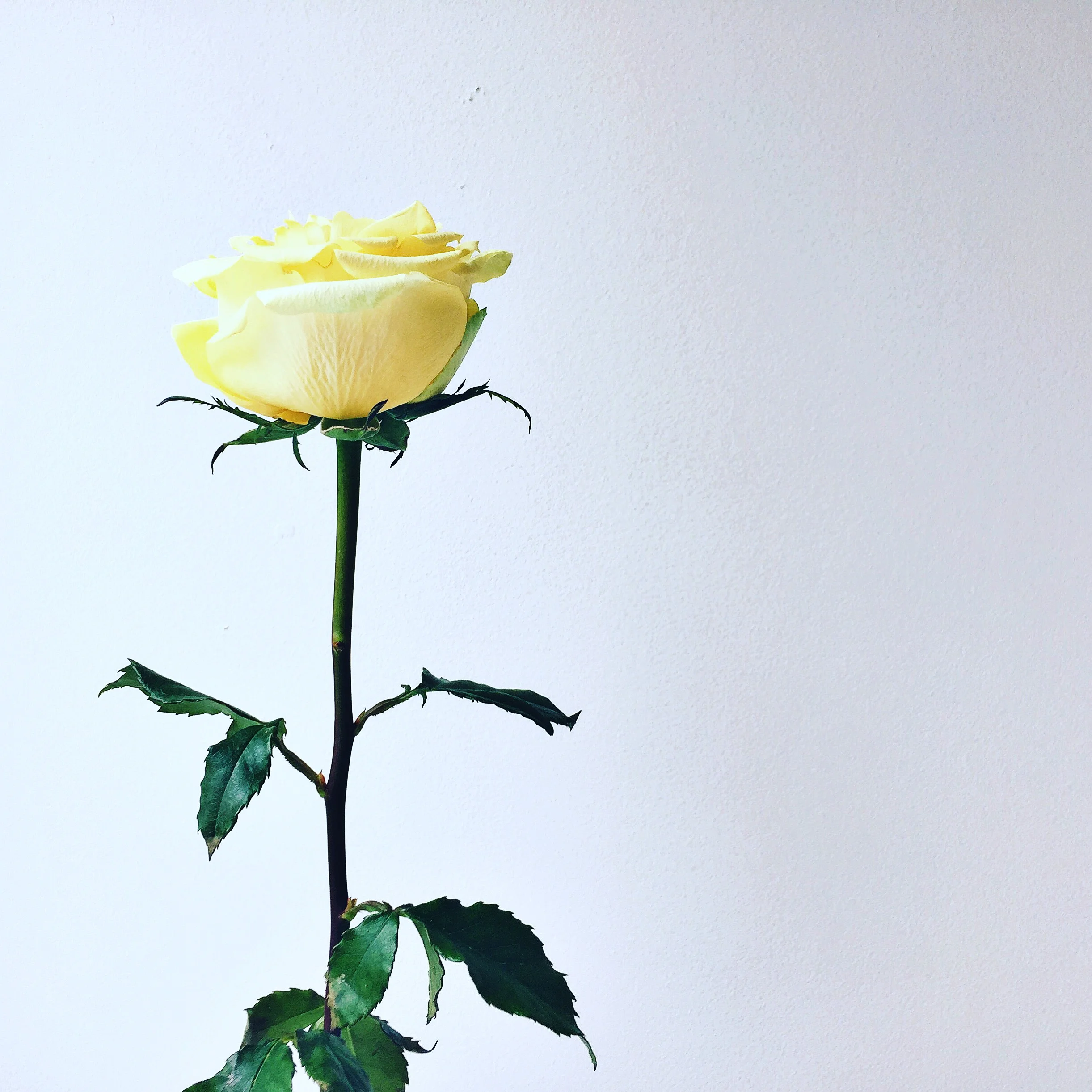 LIFESTYLE | Just Breathe 