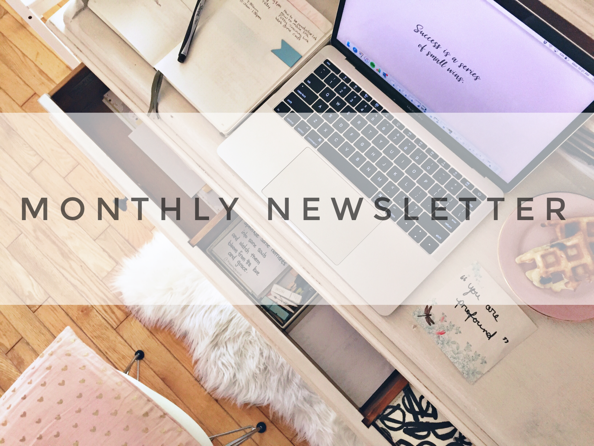 UPDATE | Monthly Newsletter !