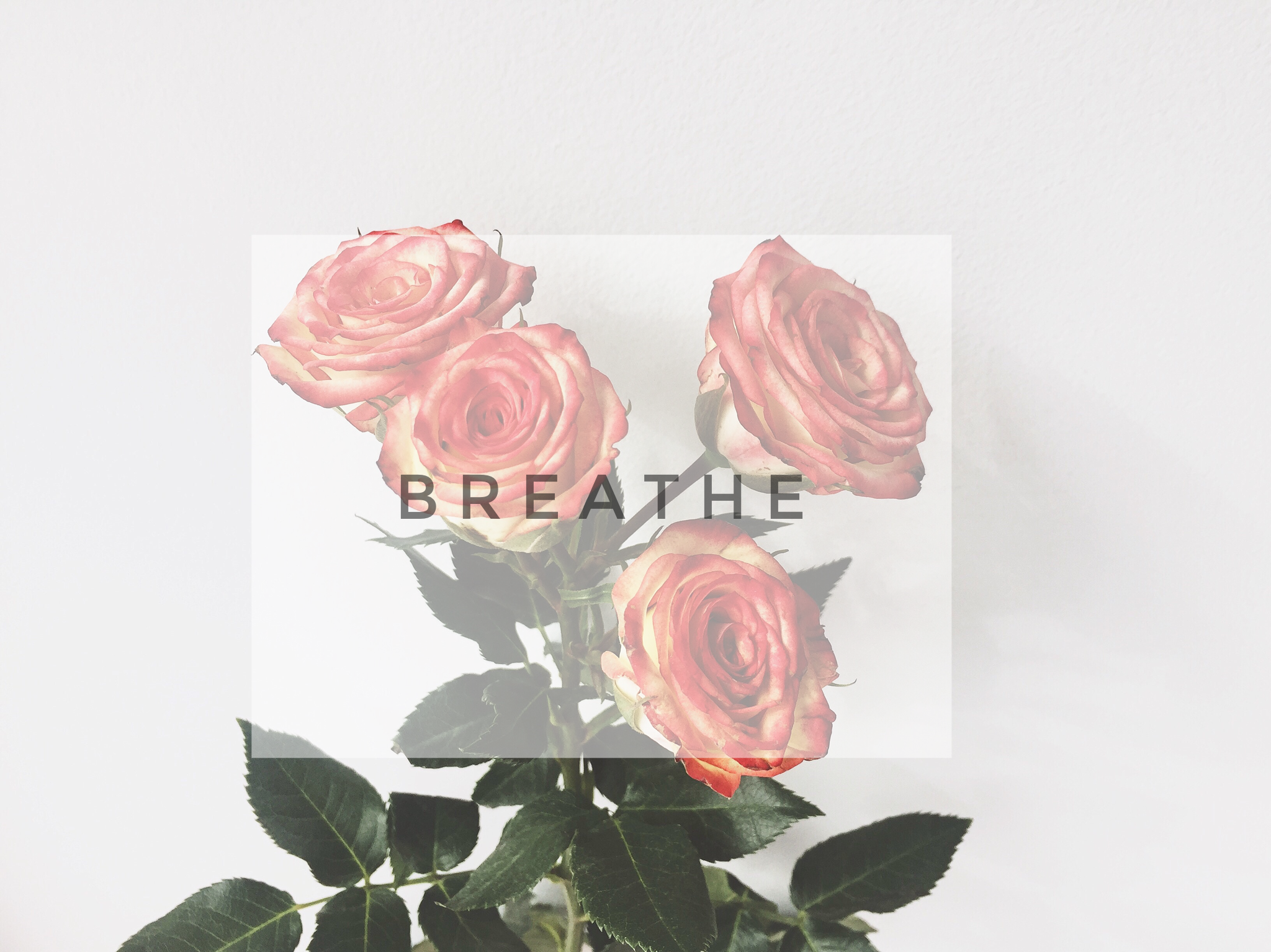 LIFESTYLE | Breathe 