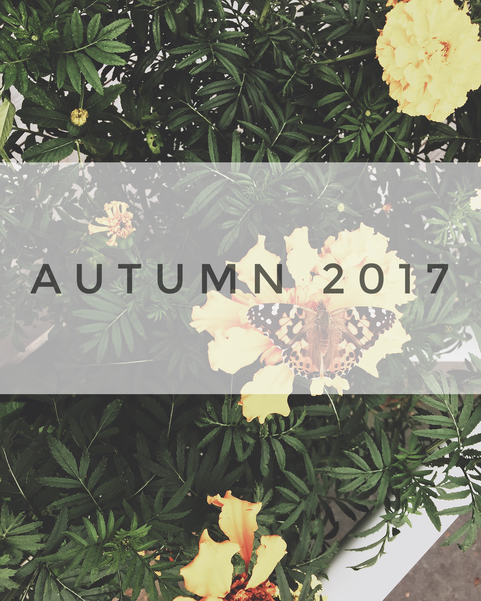 LIFESTYLE | AUTUMN 2017