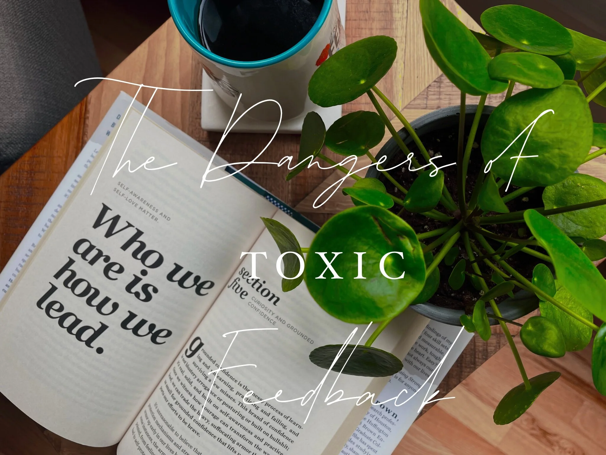 WORK | The Dangers of Toxic Feedback