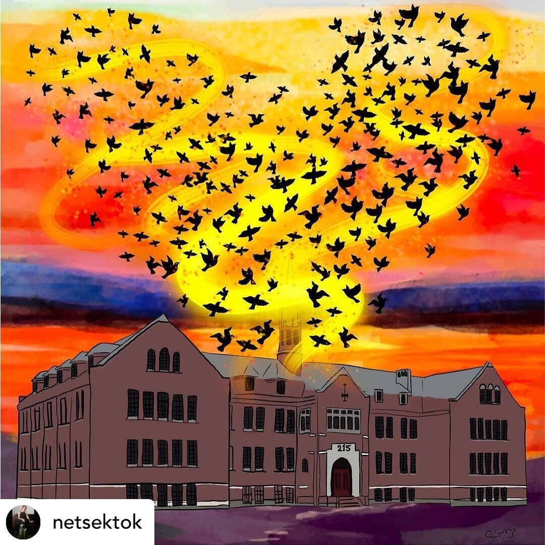 a picture is worth a thousand words. or simply, the number of souls to remember, and that much more. 
.
Posted @withregram &bull; @netsektok 215 set free.
...

#residentialschool #residentialschools #kamloops #residentialschoolsurvivors #indigenous #