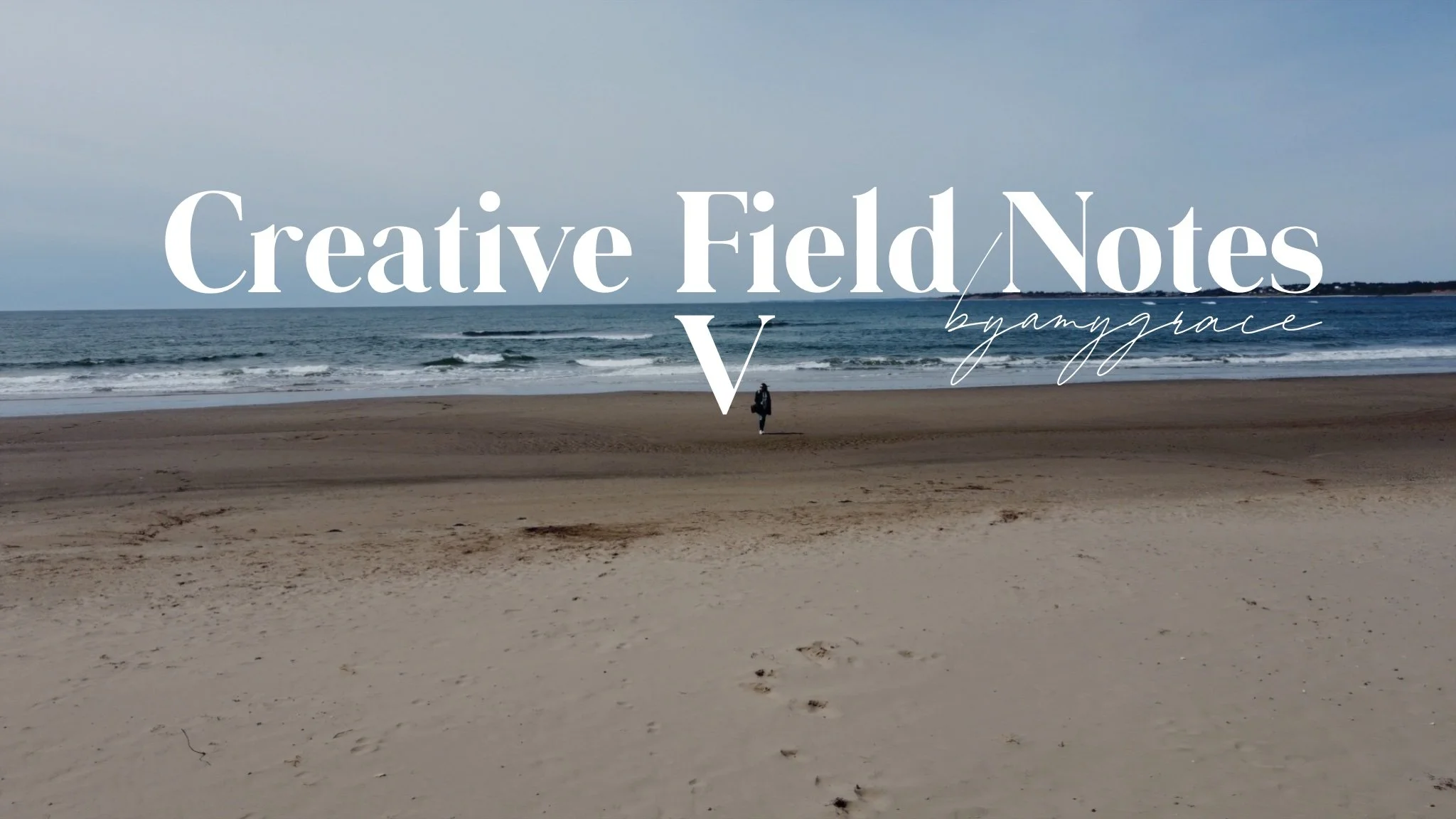 Creative Field Notes | V