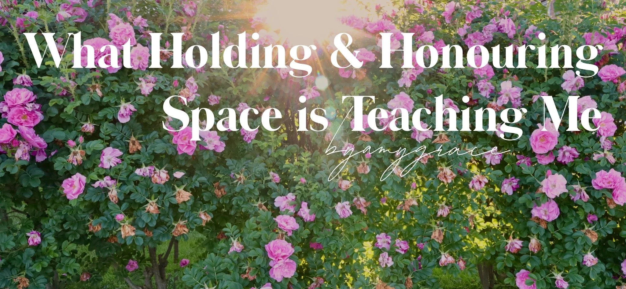 2022 | What Holding &amp; Honouring Space is Teaching Me