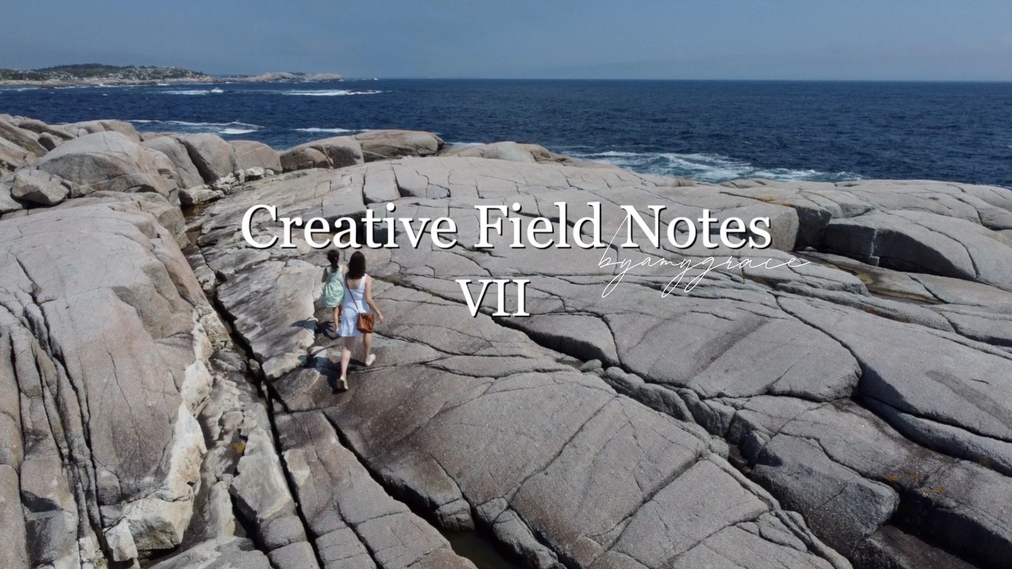 Creative Field Notes | VII