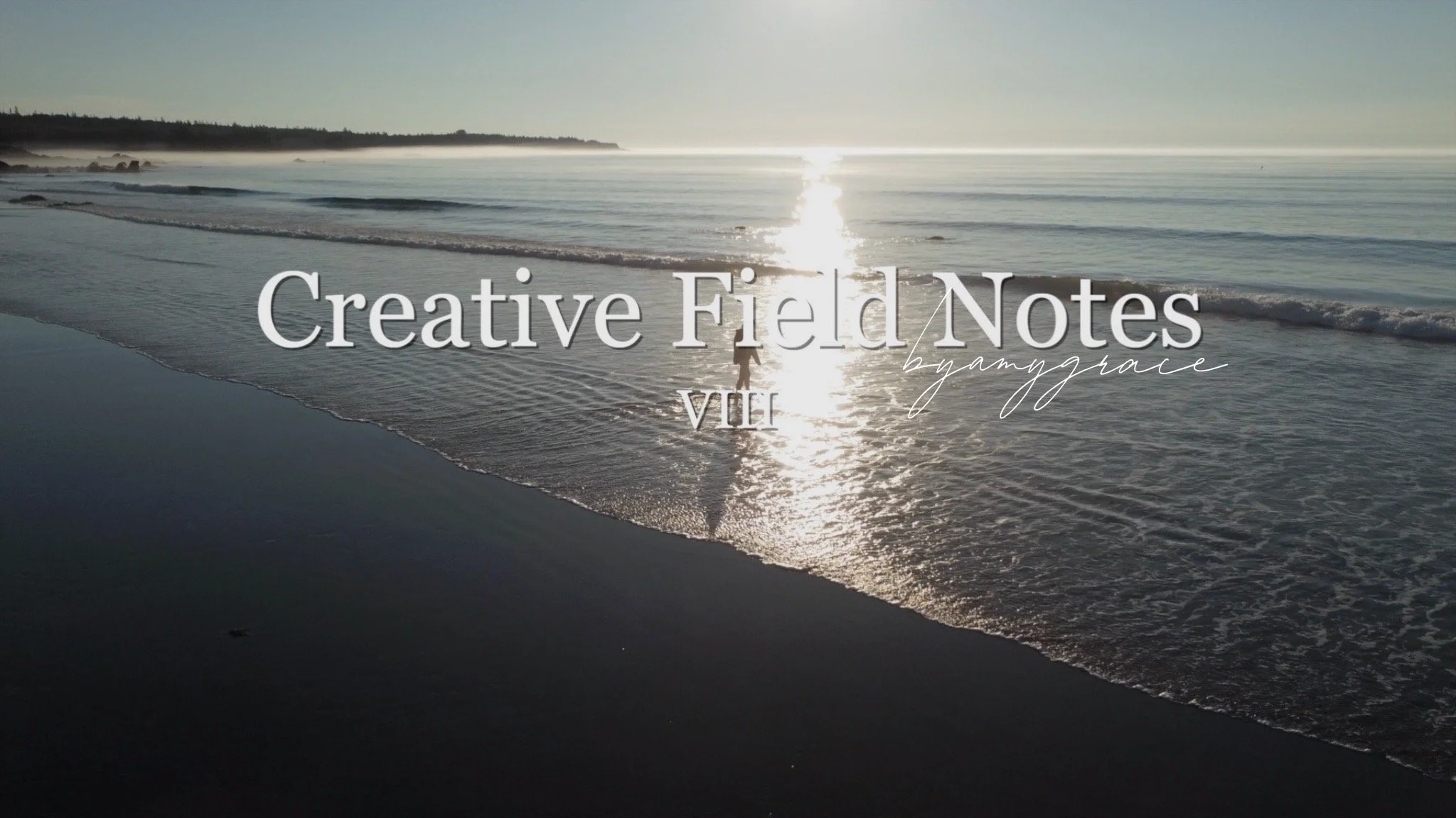 Creative Field Notes | VIII