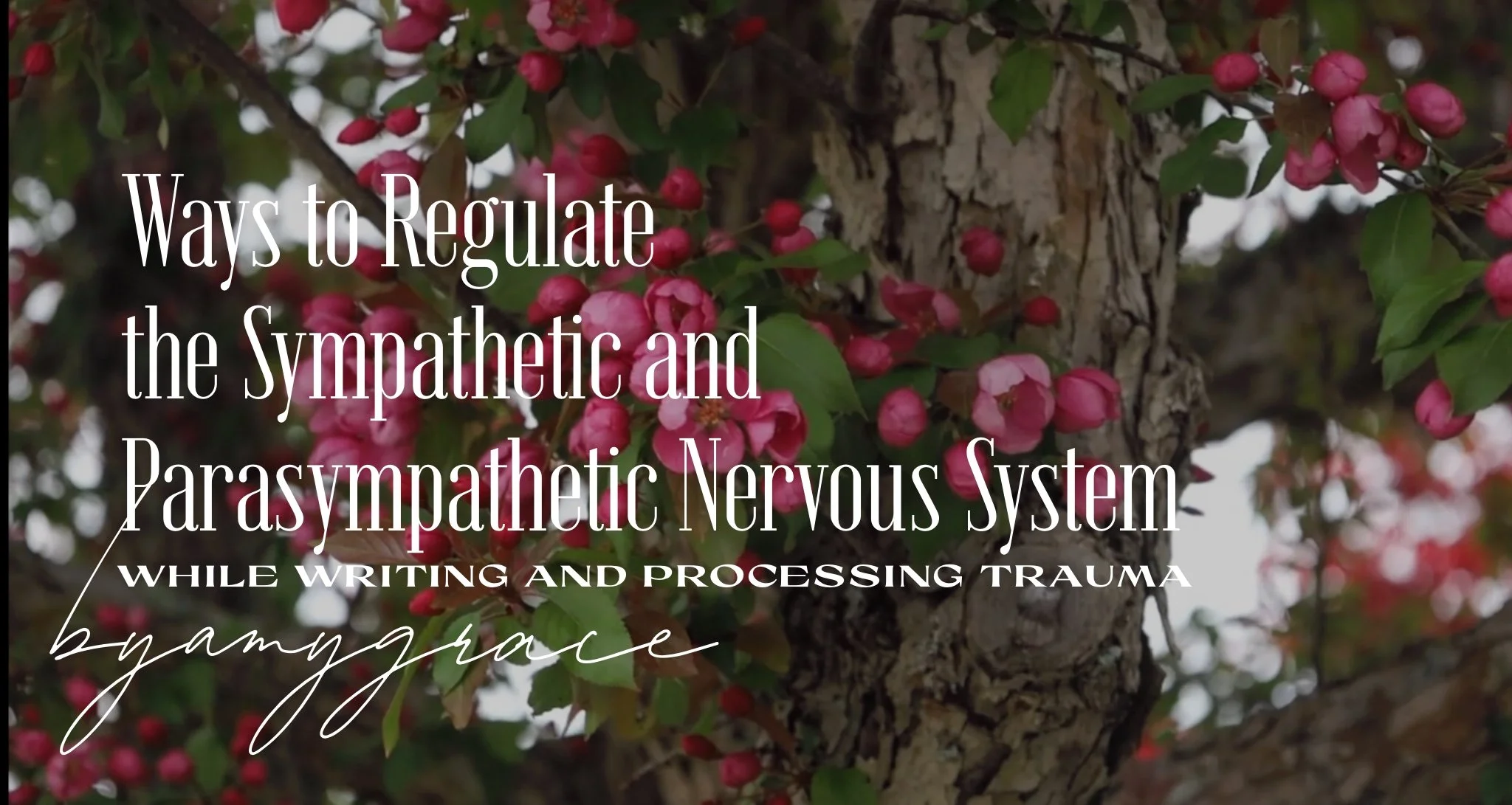 Ways to Regulate the Sympathetic and Parasympathetic Nervous System While Writing and Processing Trauma