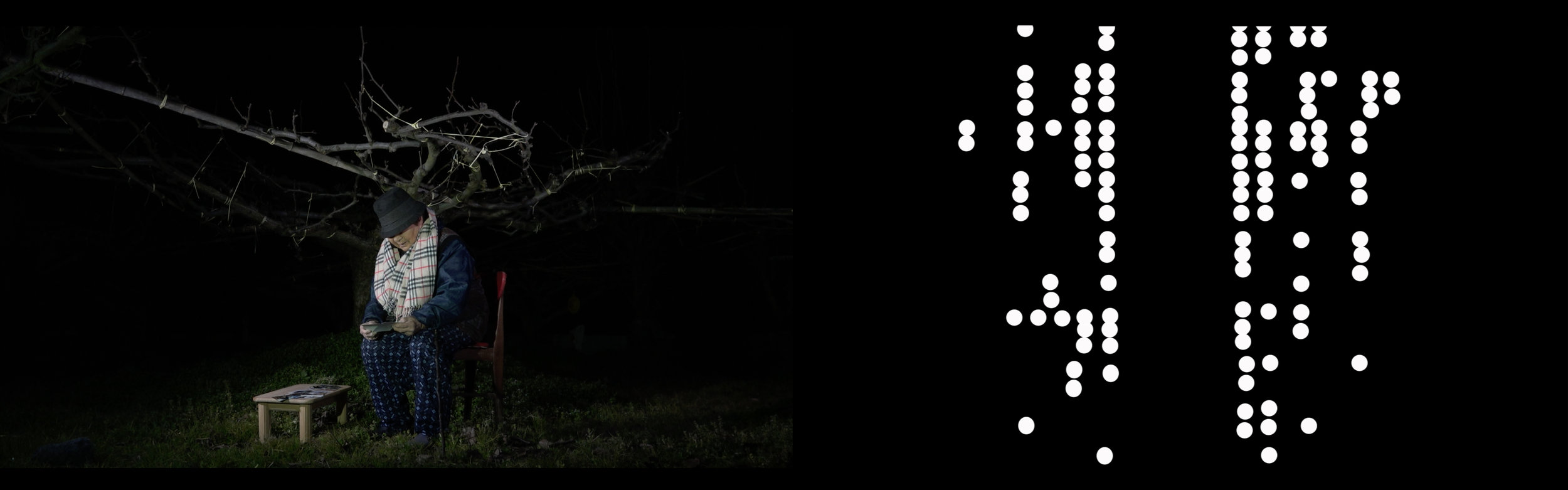  &lt;平成三十一年二月秋芳梨樹&gt; 雙頻道影片  &lt;Syuho Pear Tree in Heisei 31th, February.&gt; 2-Channel Videos.   