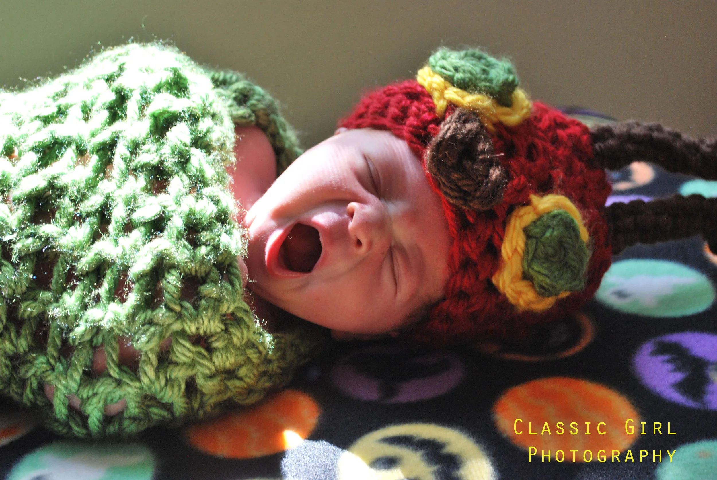 Remy catapiller 3.jpg