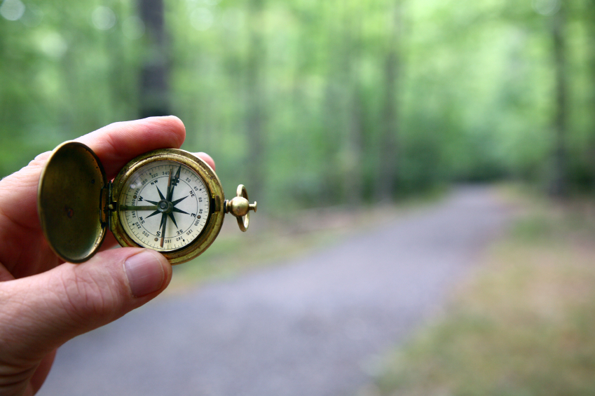 Hand Holding Compass. Online Booking Stock Image - Image of holiday, money:  153857823