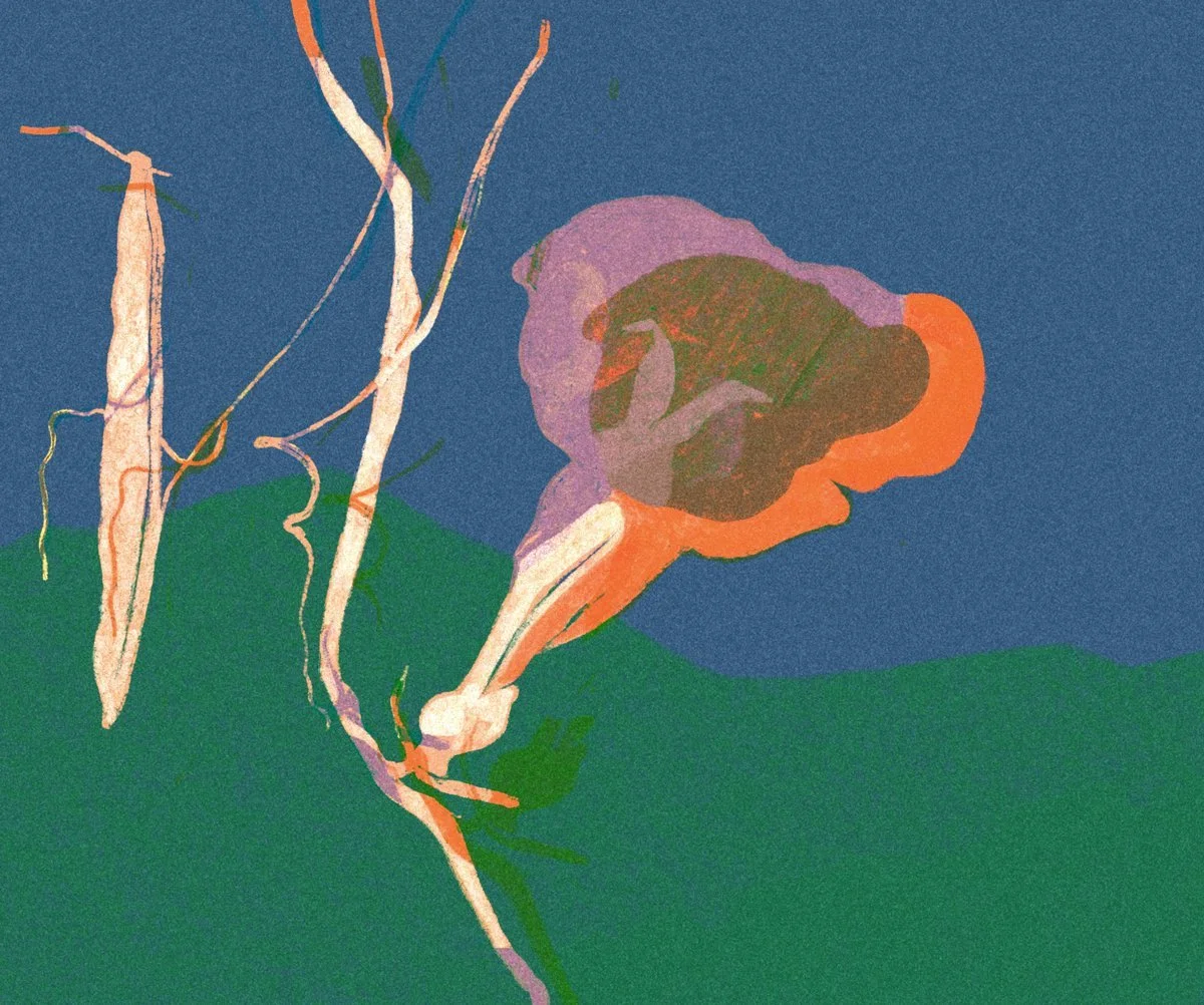flower_2.jpg