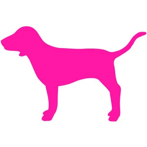 Pink Dog.jpg