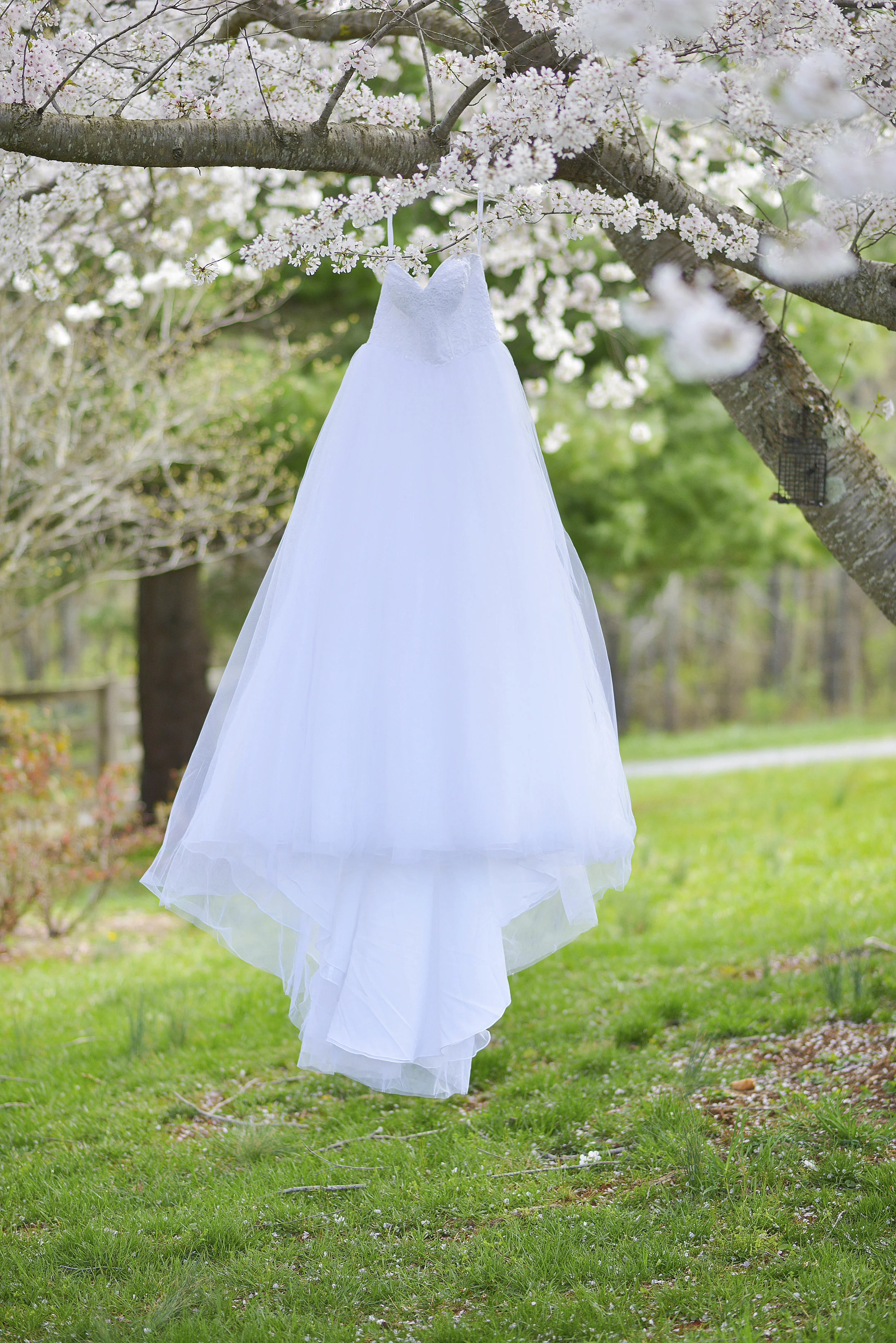 Olsen_Wedding019.jpg