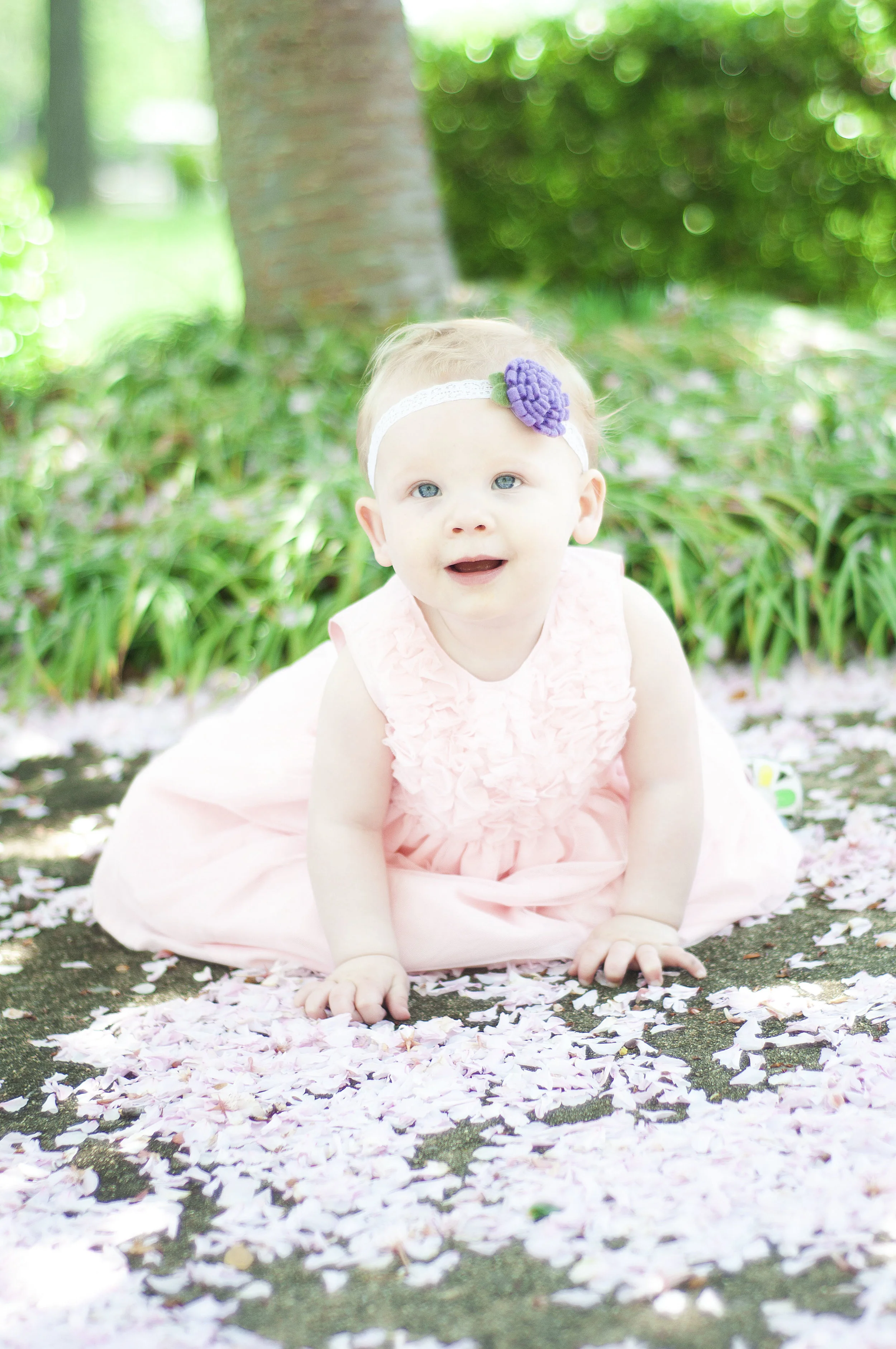 [Halle's 1st Birthday]