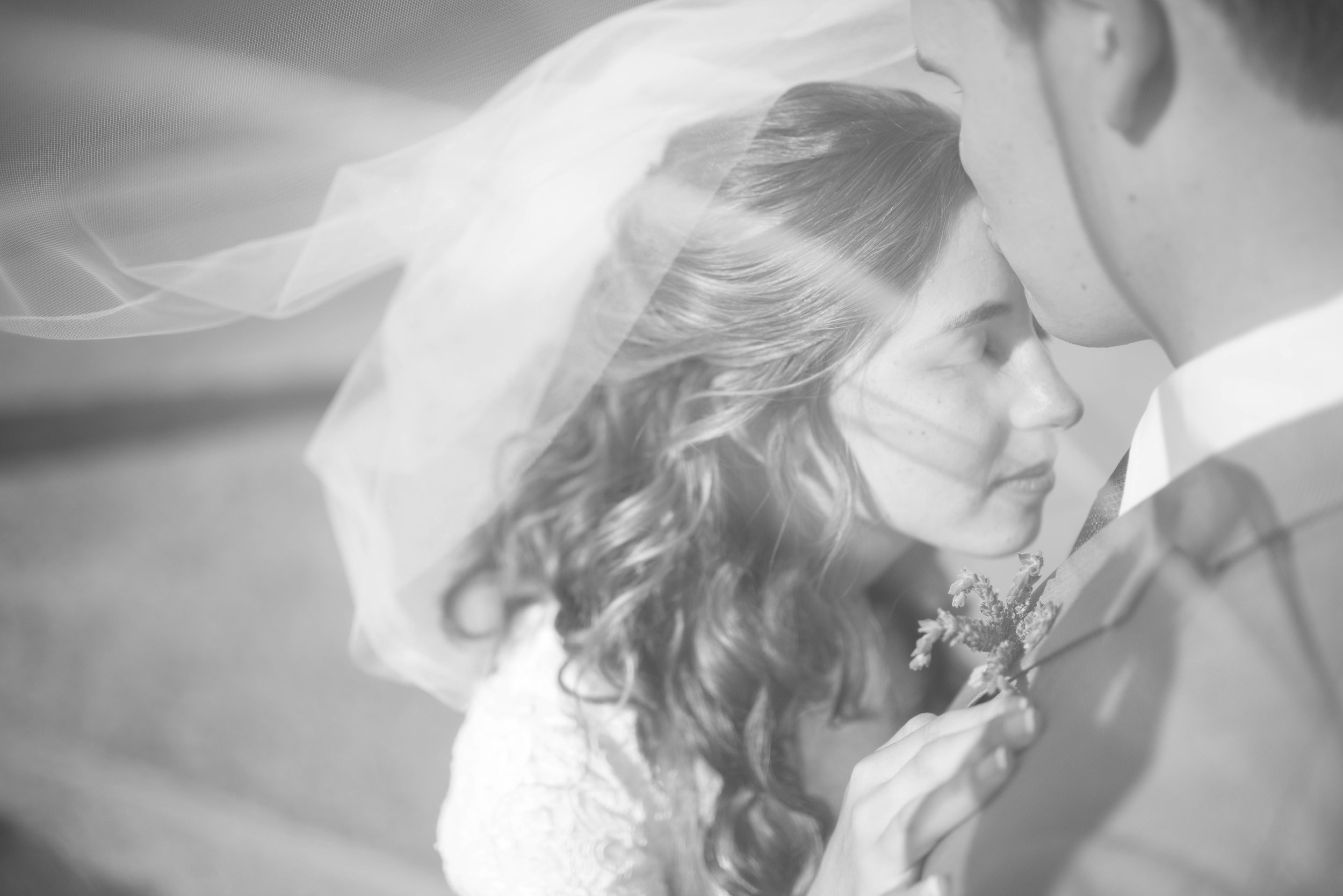 [Tim + Katherine || Lynchburg, VA]