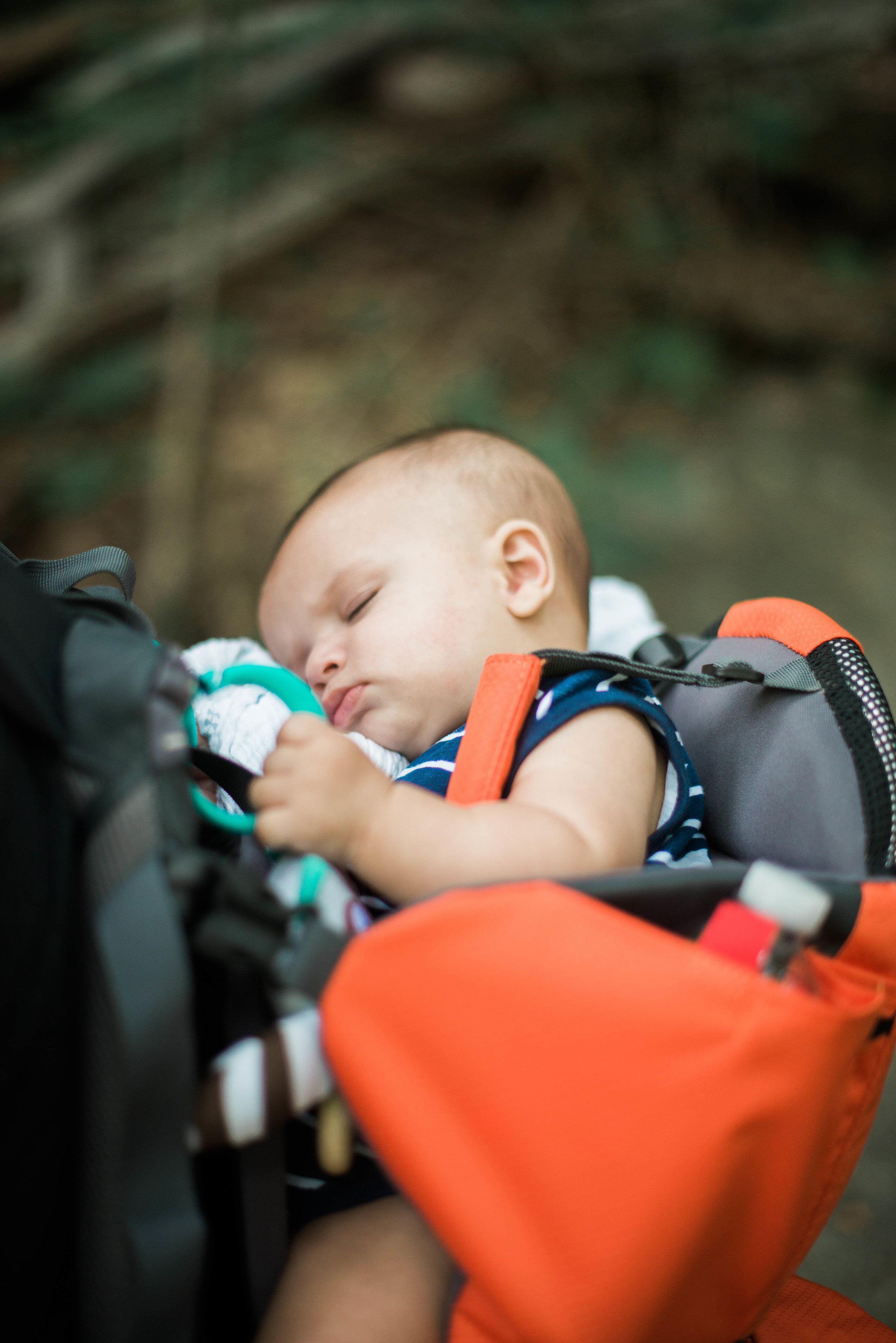 He fell asleep the whole way back down the mountain. Seriously such a little baby champ! 